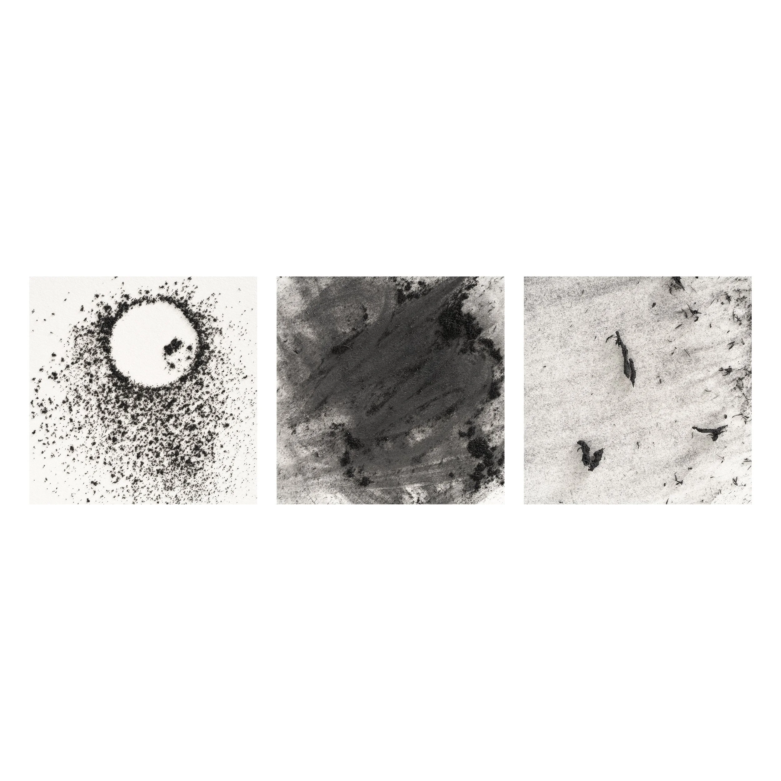 Erasure Triptych #9