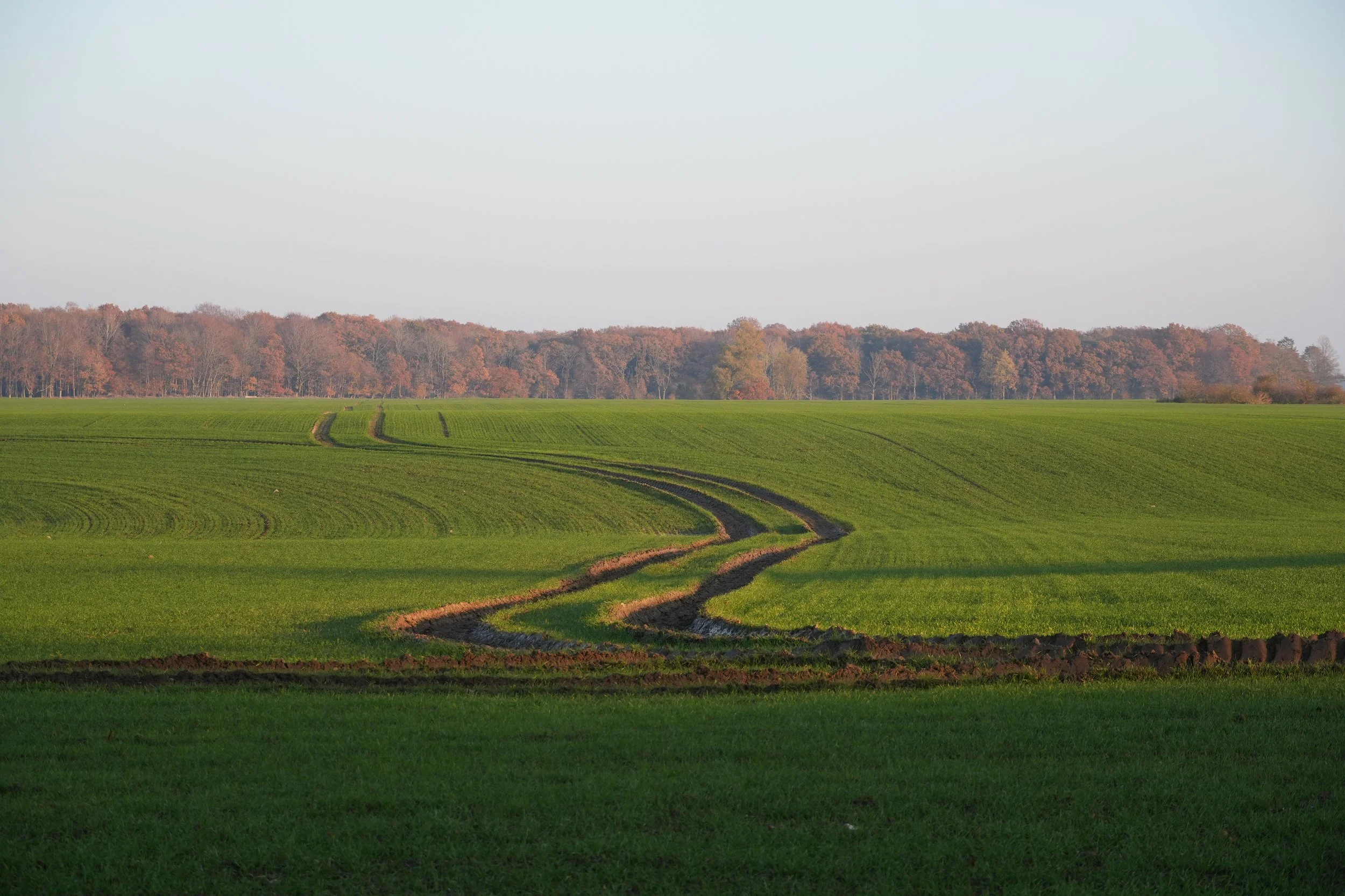DSC07027.jpg