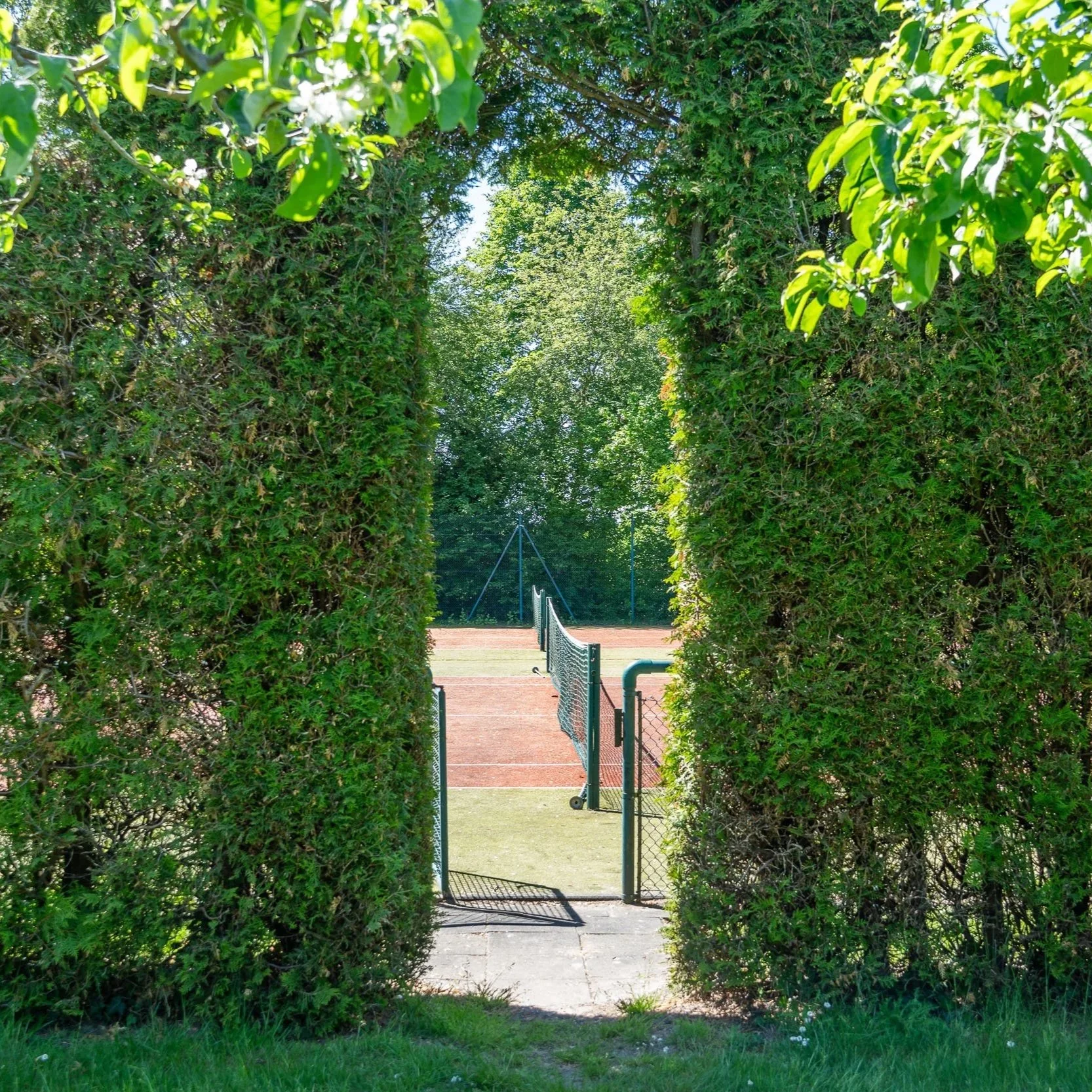 Ein grüner Garten mit hohen Hecken und einem Tennisplatz, der durch ein Gittertor sichtbar ist.