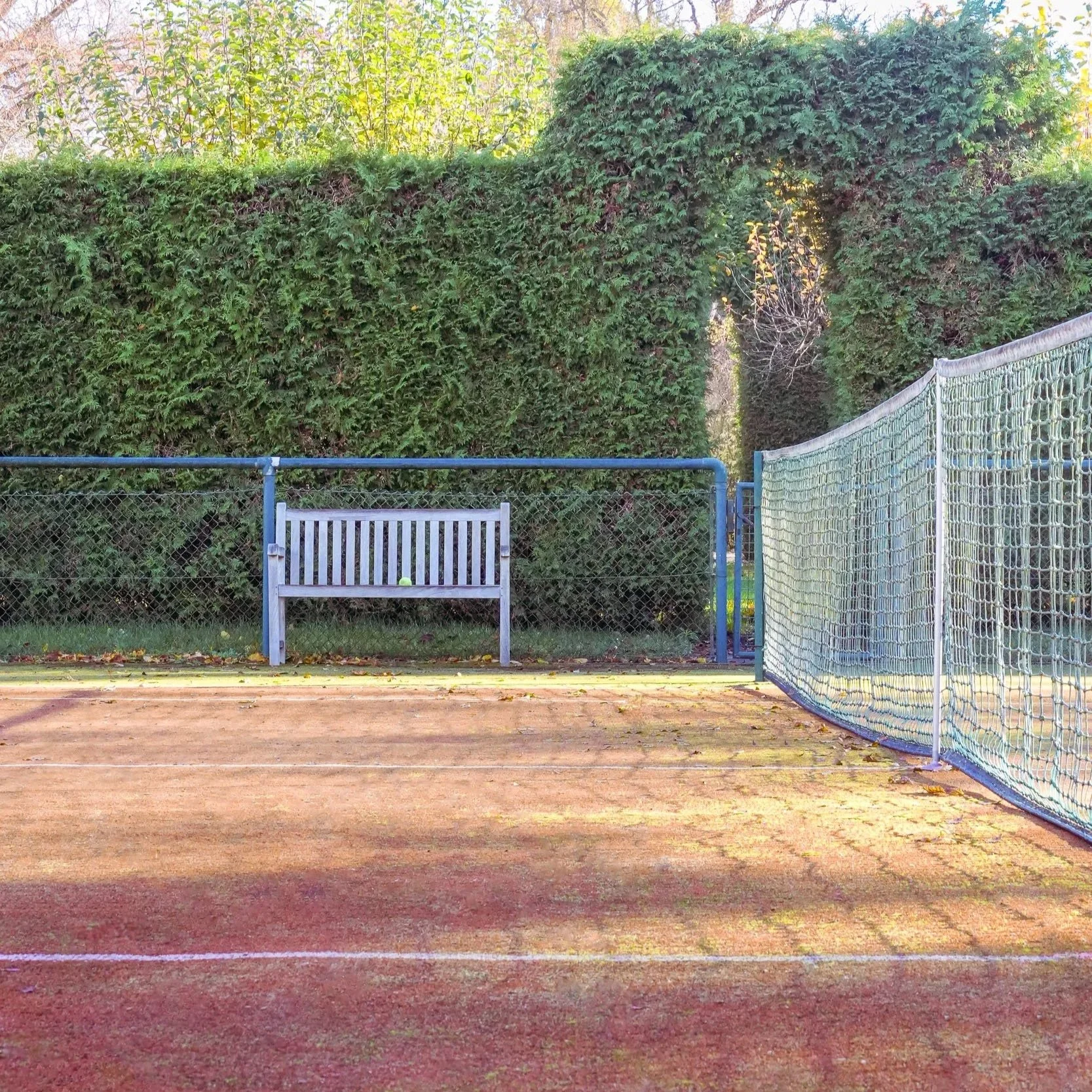 Ein Tennisplatz mit einem weißen Sitzbank und einem Tennisball, umgeben von einem Zaun, im Hintergrund hohe grüne Hecken und Bäume, sonniger Tag.