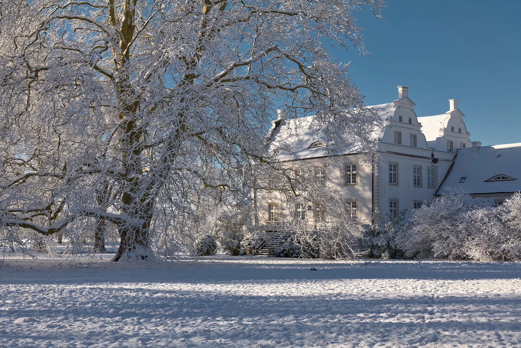 Schneebedeuer Baum und ein weißes Schloss bei klarem blauen Himmel.
