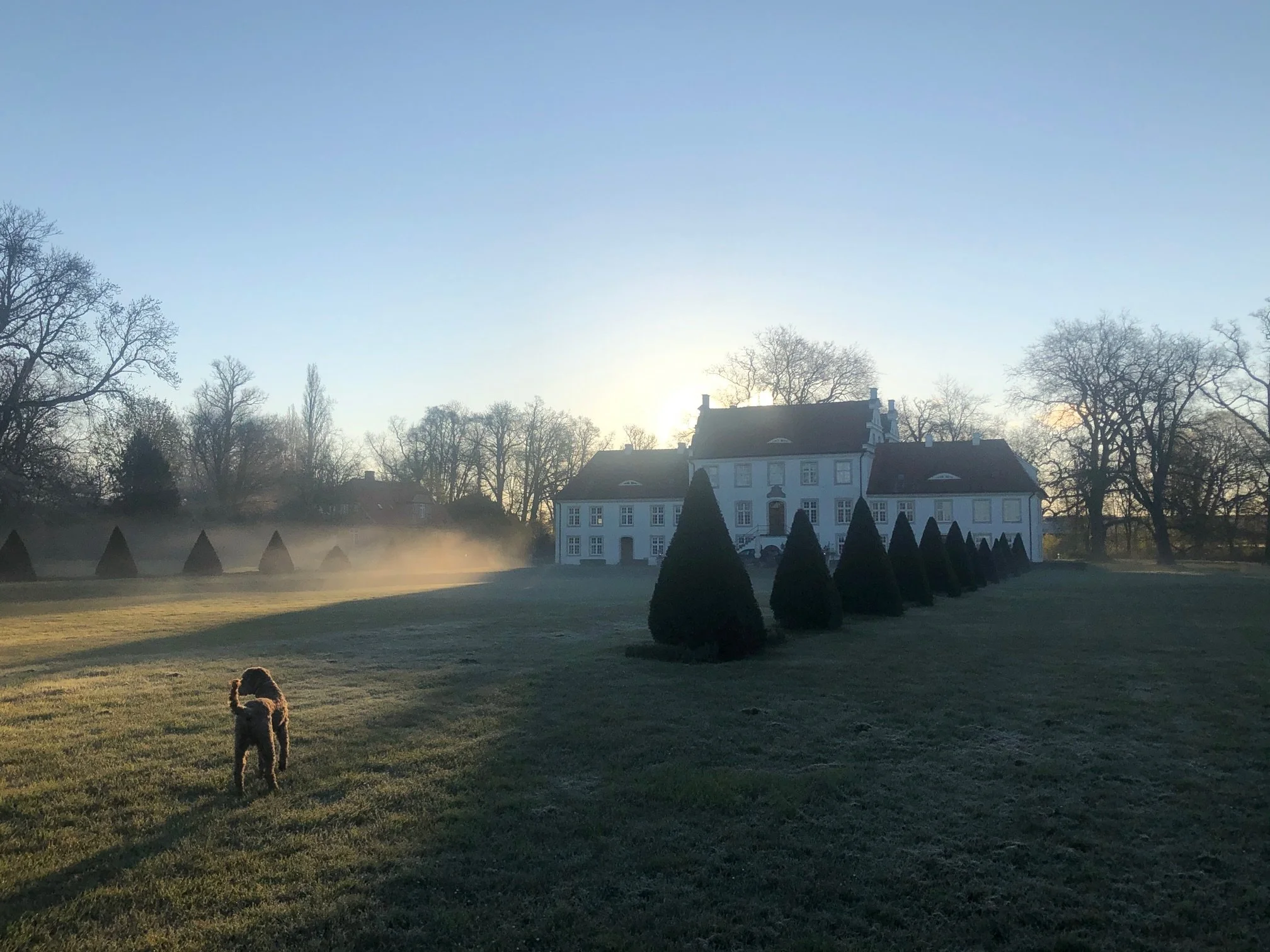 Ein großes, weißes Herrenhaus mit schwarzen Dächern steht im Sonnenaufgang, umgeben von kahlen Bäumen. Im Vordergrund befindet sich ein-Gras-Feld mit einem kleinen Hund.