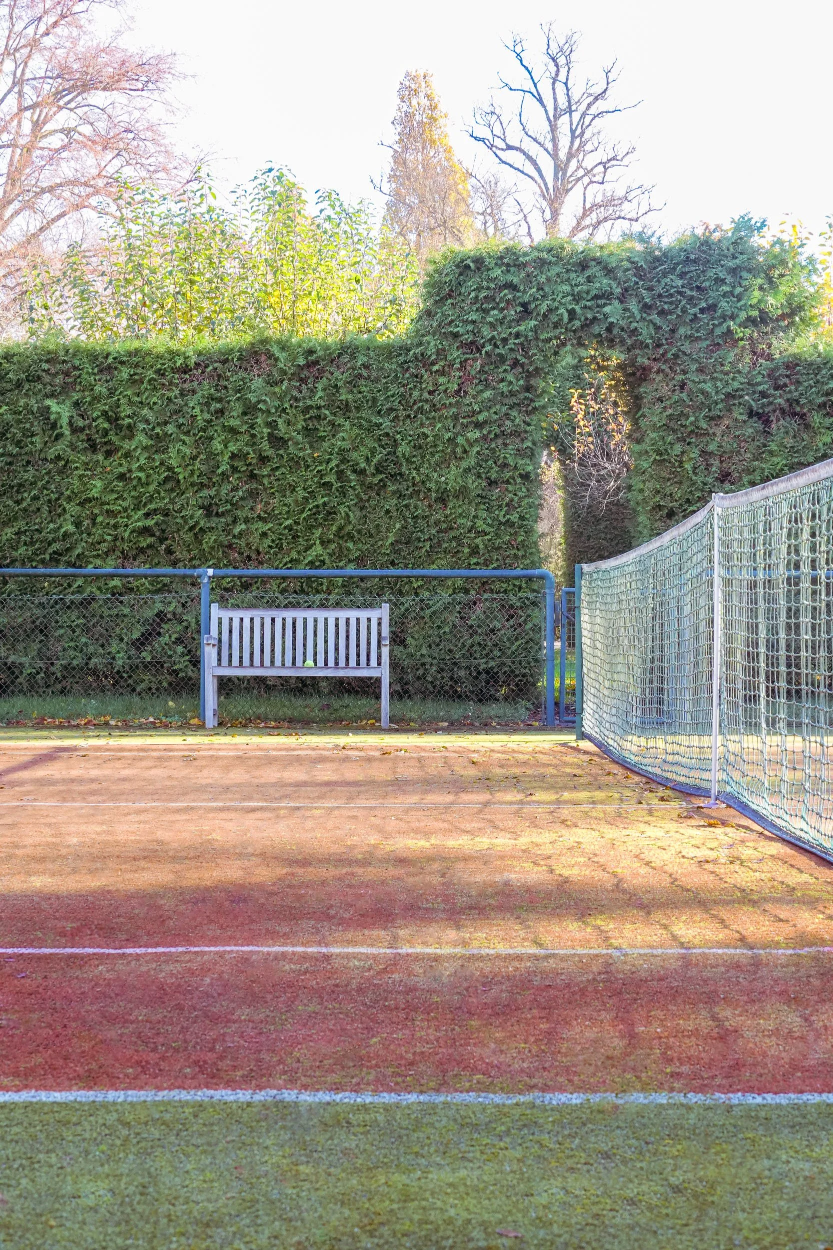 Ein leerer Tennisplatz mit einem sogenannten „Gänseblümchen Obstgarten“ im Hintergrund, der mit hohen Hecken und Bäumen gesäumt ist, im Freien an einem sonnigen Tag.