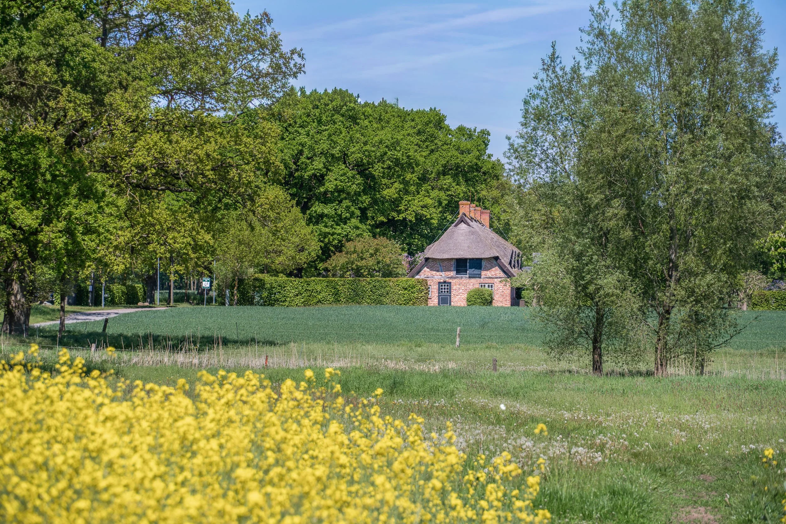 Ein malerisches Landhaus unter einem blauen Himmel, umgeben von grünen Bäumen und blühenden Blumen im Vordergrund.