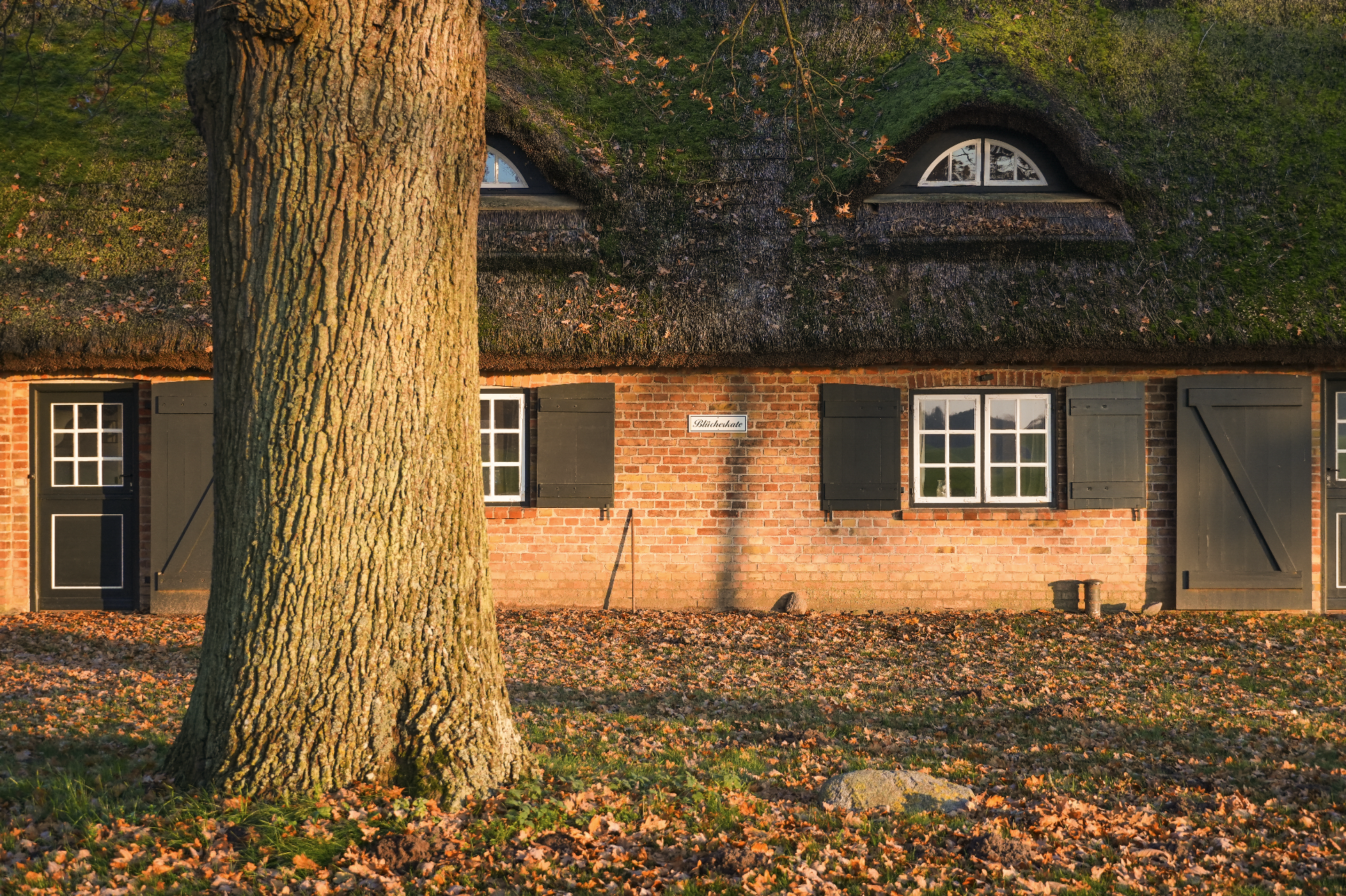 Die Blücherkate im Herbst. 