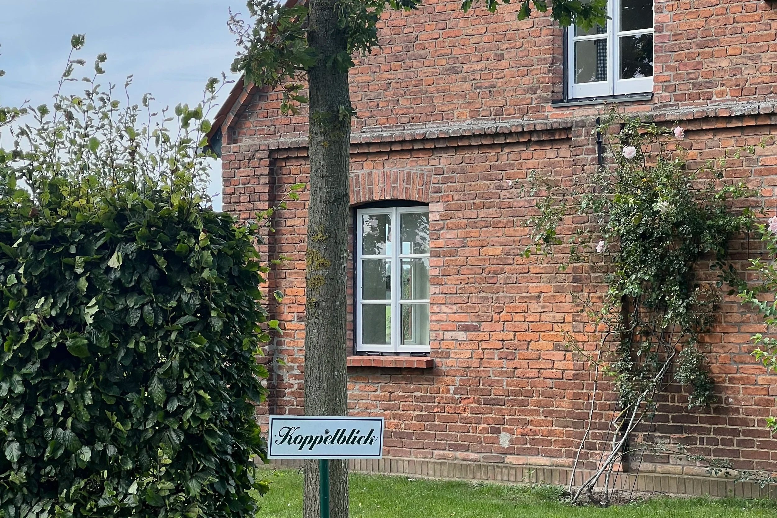 Ein geweißtes Kiefernbaum vor einer roten Backsteinfassade eines Hauses mit weißen Fensterrahmen. Im Vordergrund befindet sich ein Busch und ein Schild mit der Aufschrift ‚Hoppellblick‘.