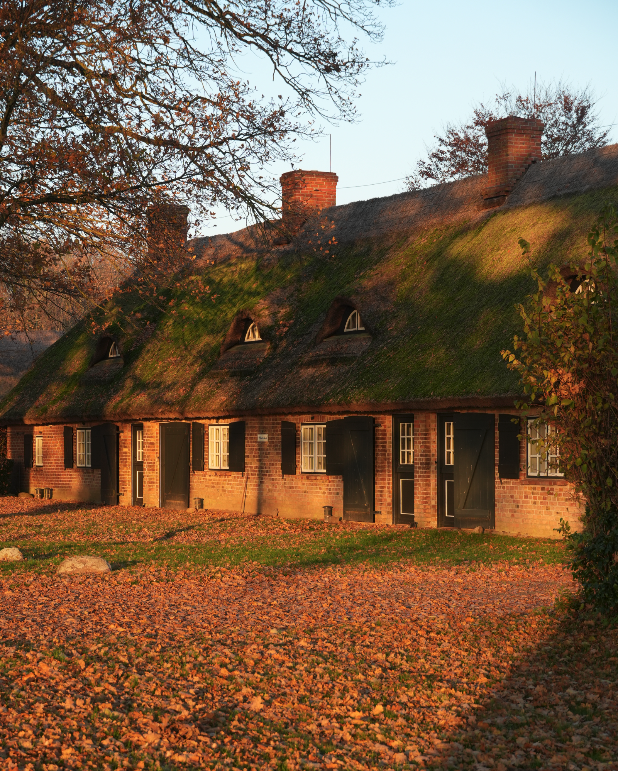 Ein altes Haus mit Gammele, Fenstern und Schornsteinen, umgeben von herbstlichen Bäumen und fallen Laub im Sonnenlicht.