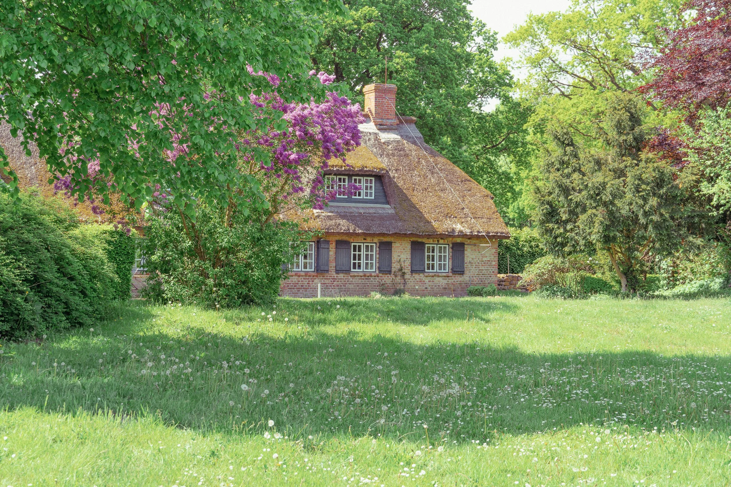 Blücherkate Garten mit Blumenwiese