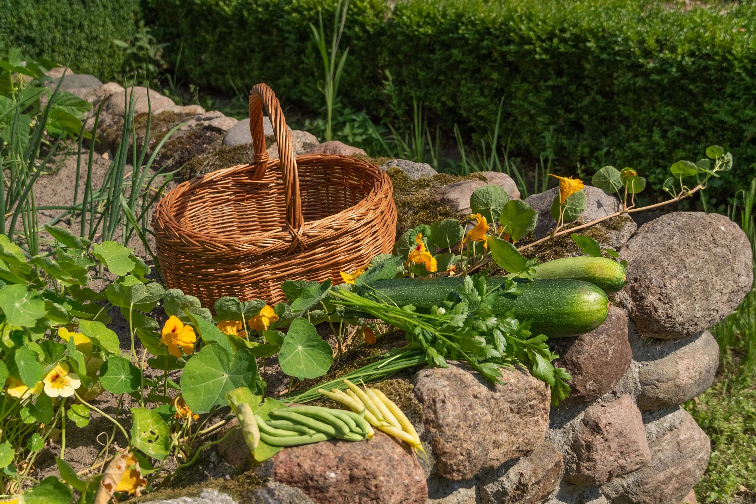 Farm to Table 30.jpg