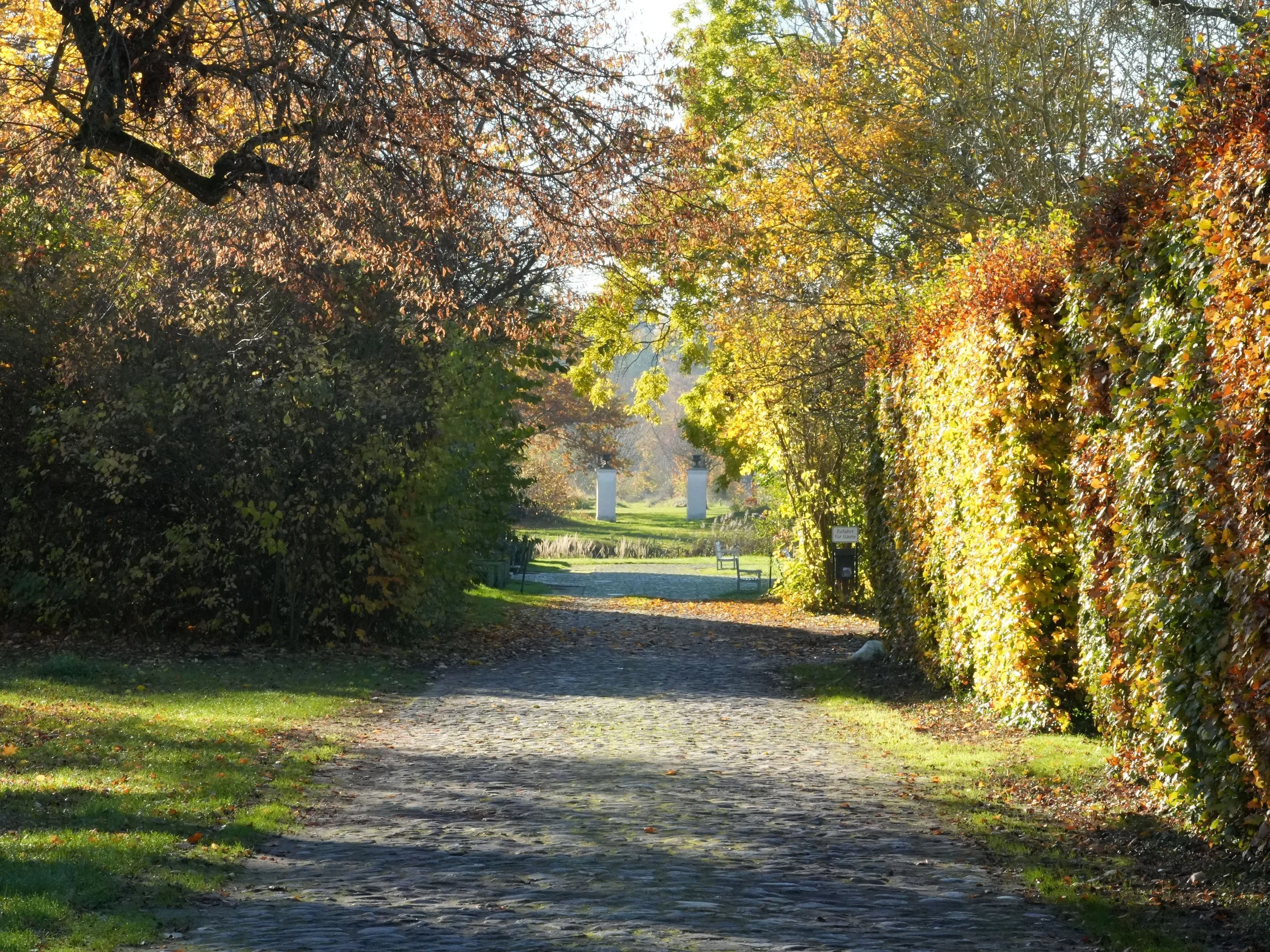 Ein Spazierweg im Park, flankiert von Bäumen mit buntem Herbstlaub, Sonnenlicht fällt durch die Zweige, im Hintergrund sind Hecken und Sträucher sichtbar.