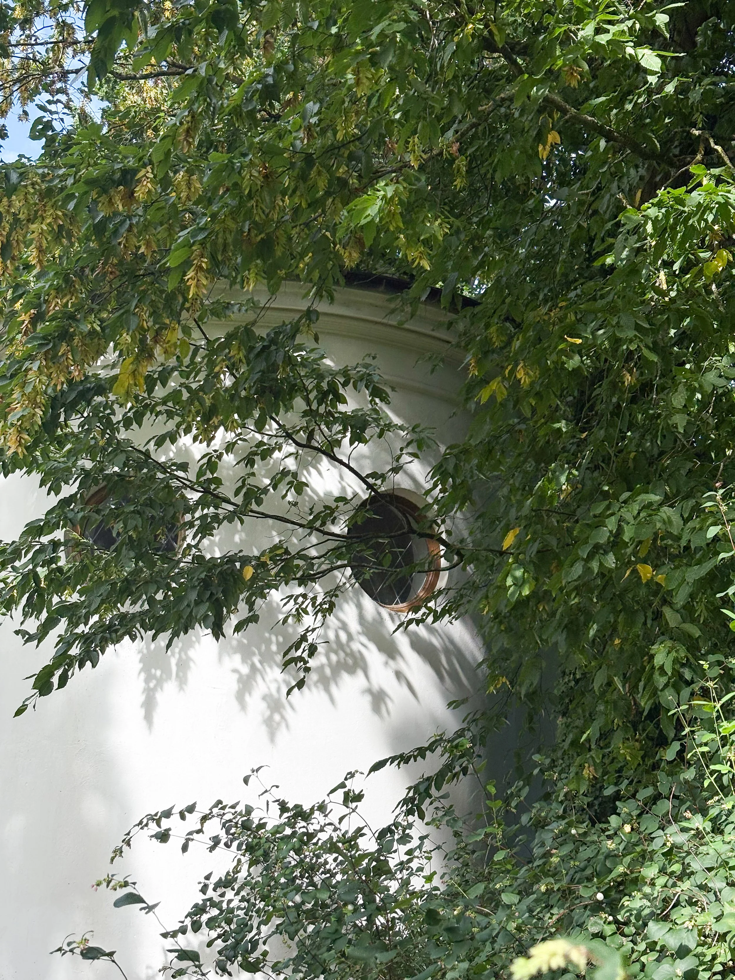 Weiße Hauswand, die von grünem Laub umgeben ist.