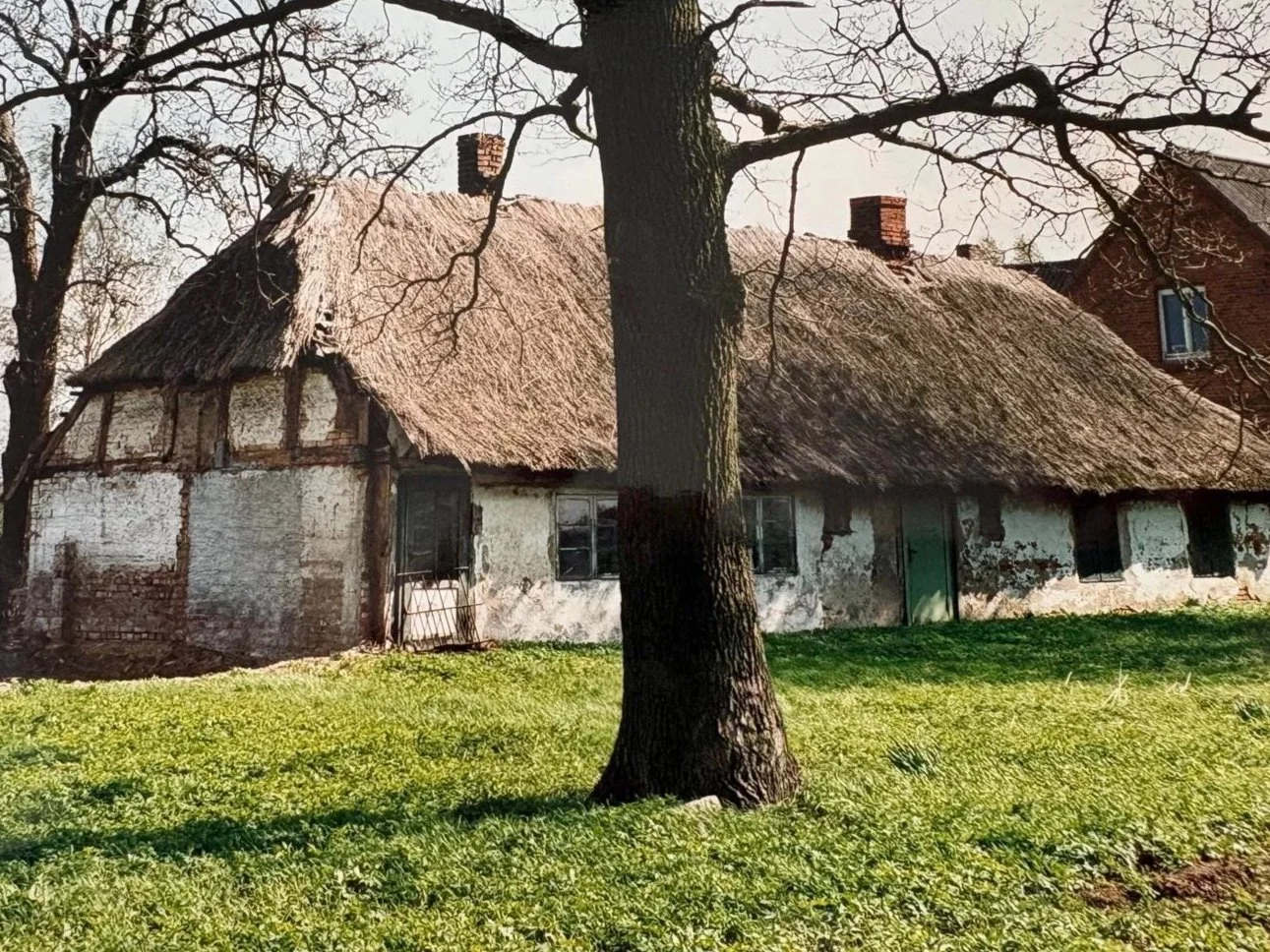 Altes verfallenes Bauernhaus mit Strohdach, umgeben von Bäumen und grünem Rasen, auf einer ländlichen Landschaft.