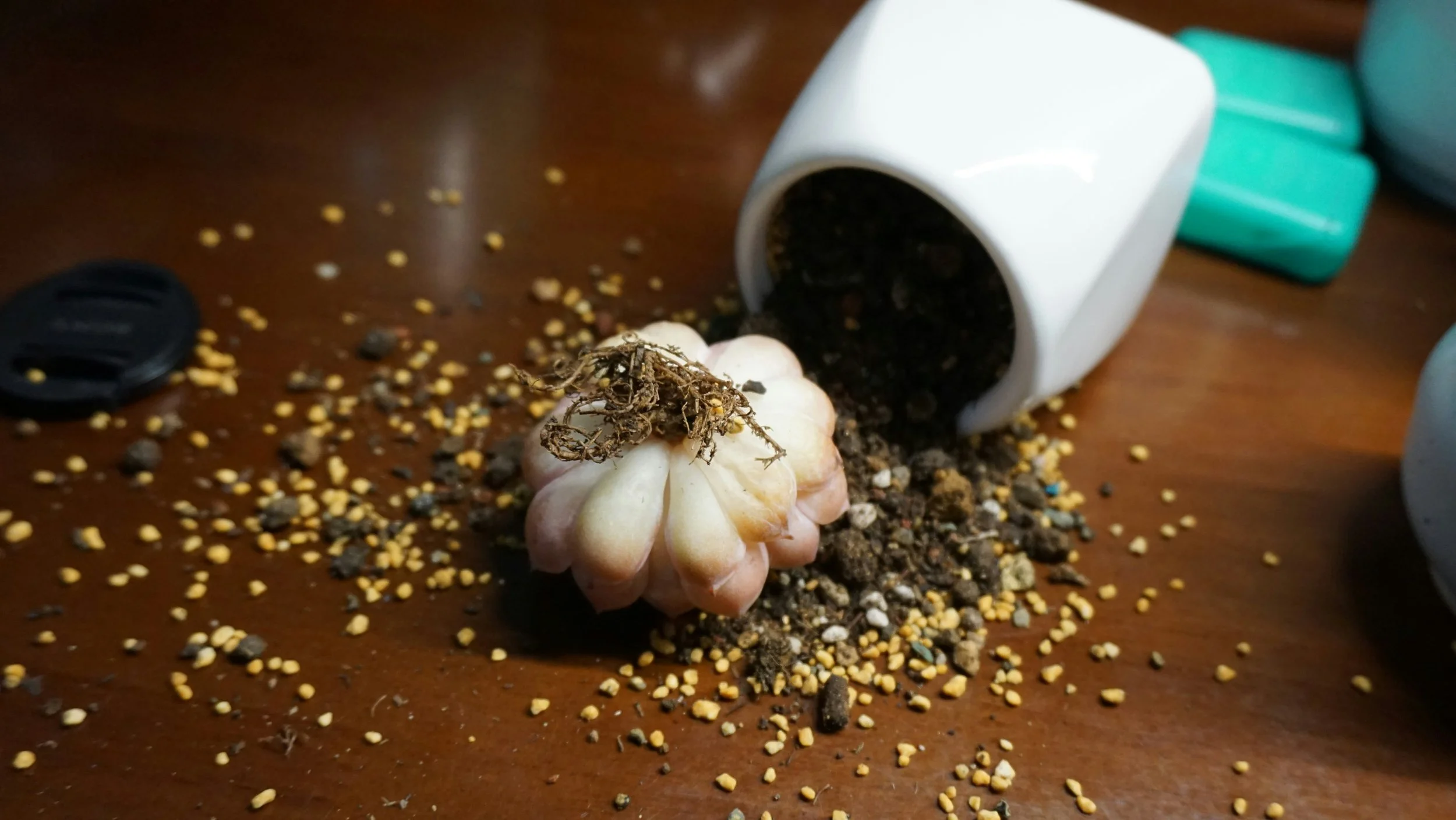 SPG: Salt, Pepper & Garlic