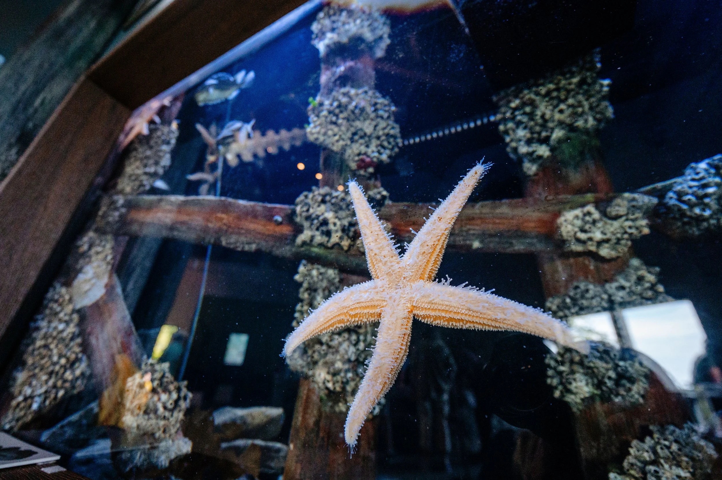 MaineStateAquarium071925-7.jpg