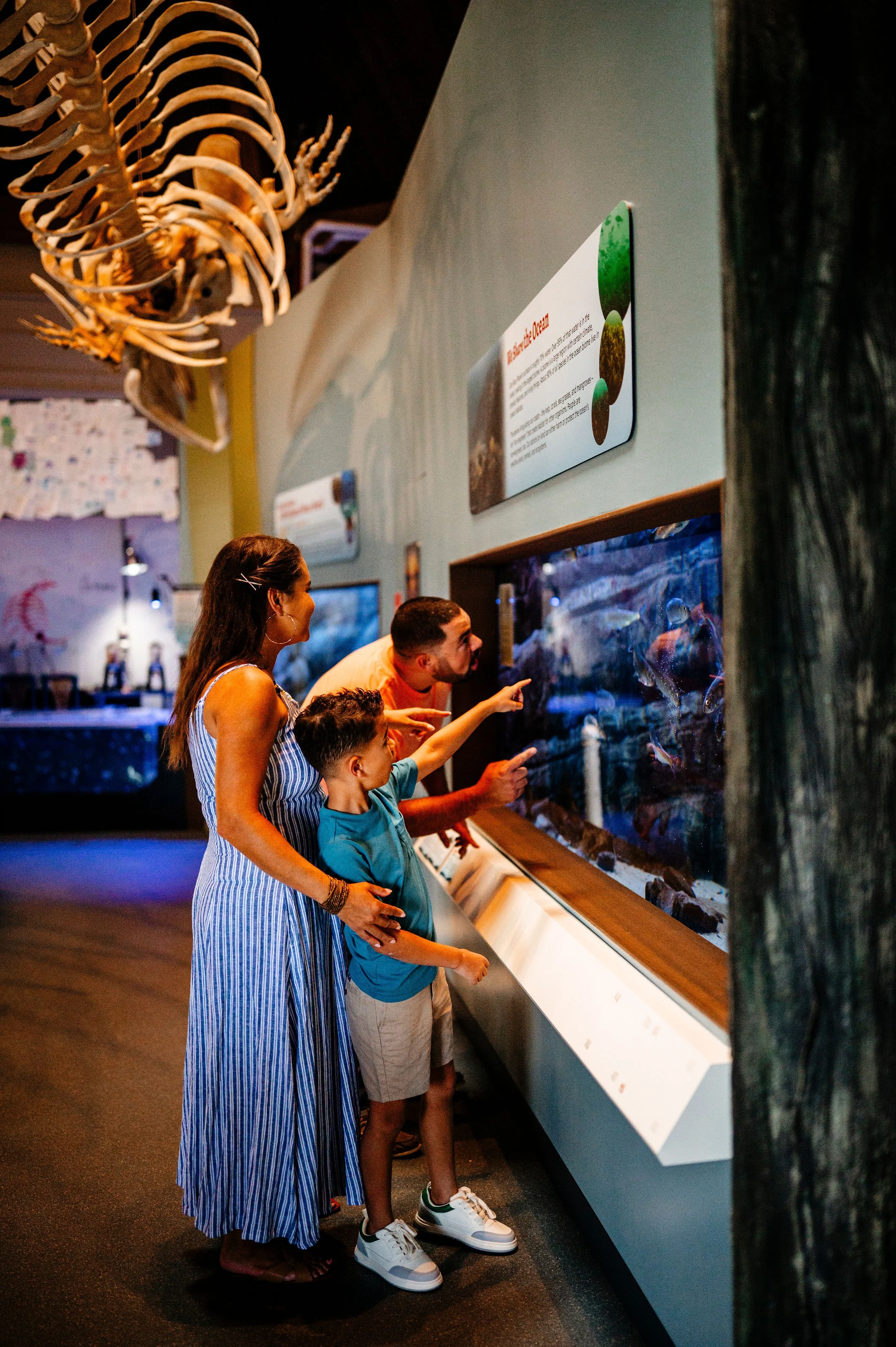 MaineStateAquarium071925-15.jpg