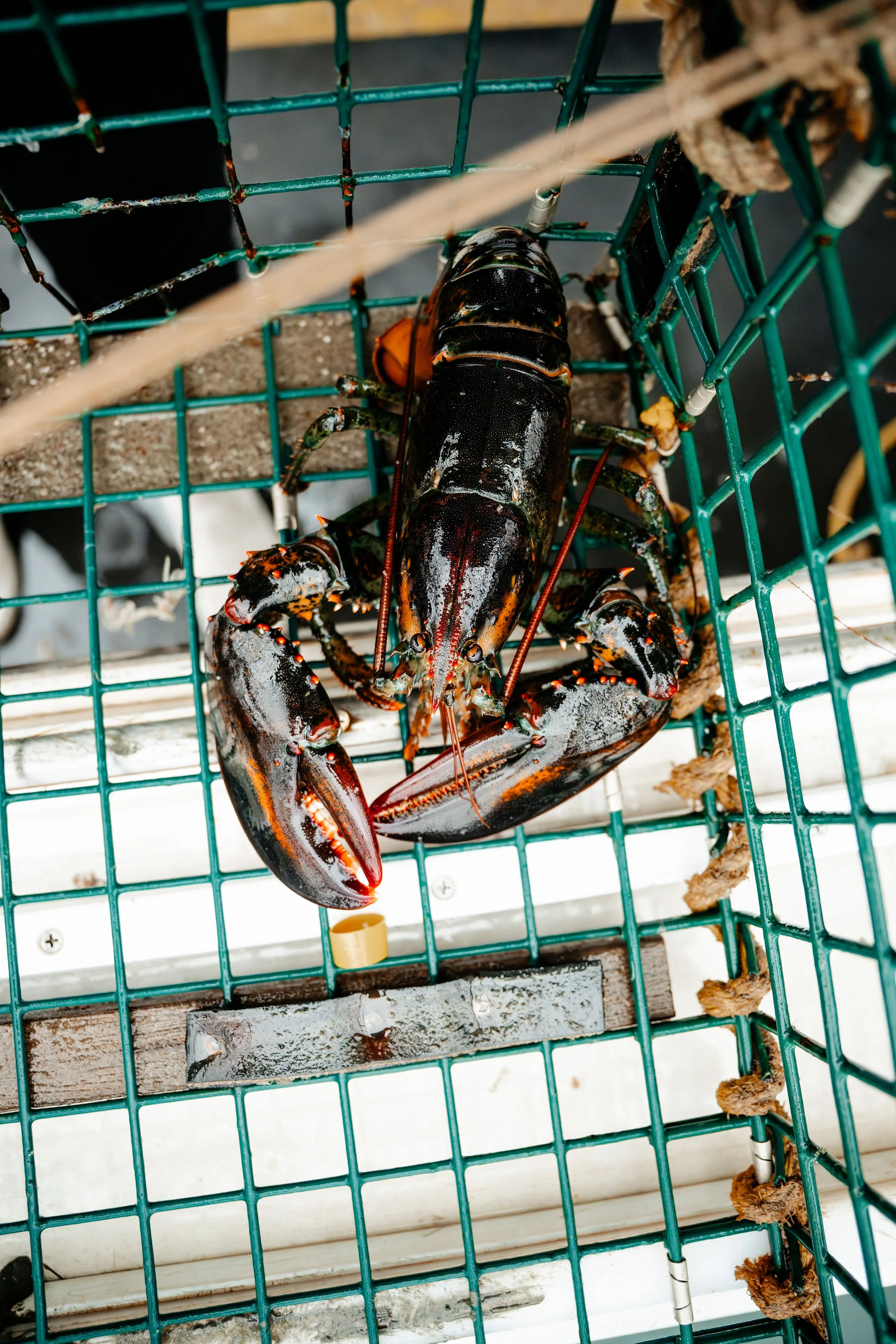 LobsterBoat071725-17.jpg
