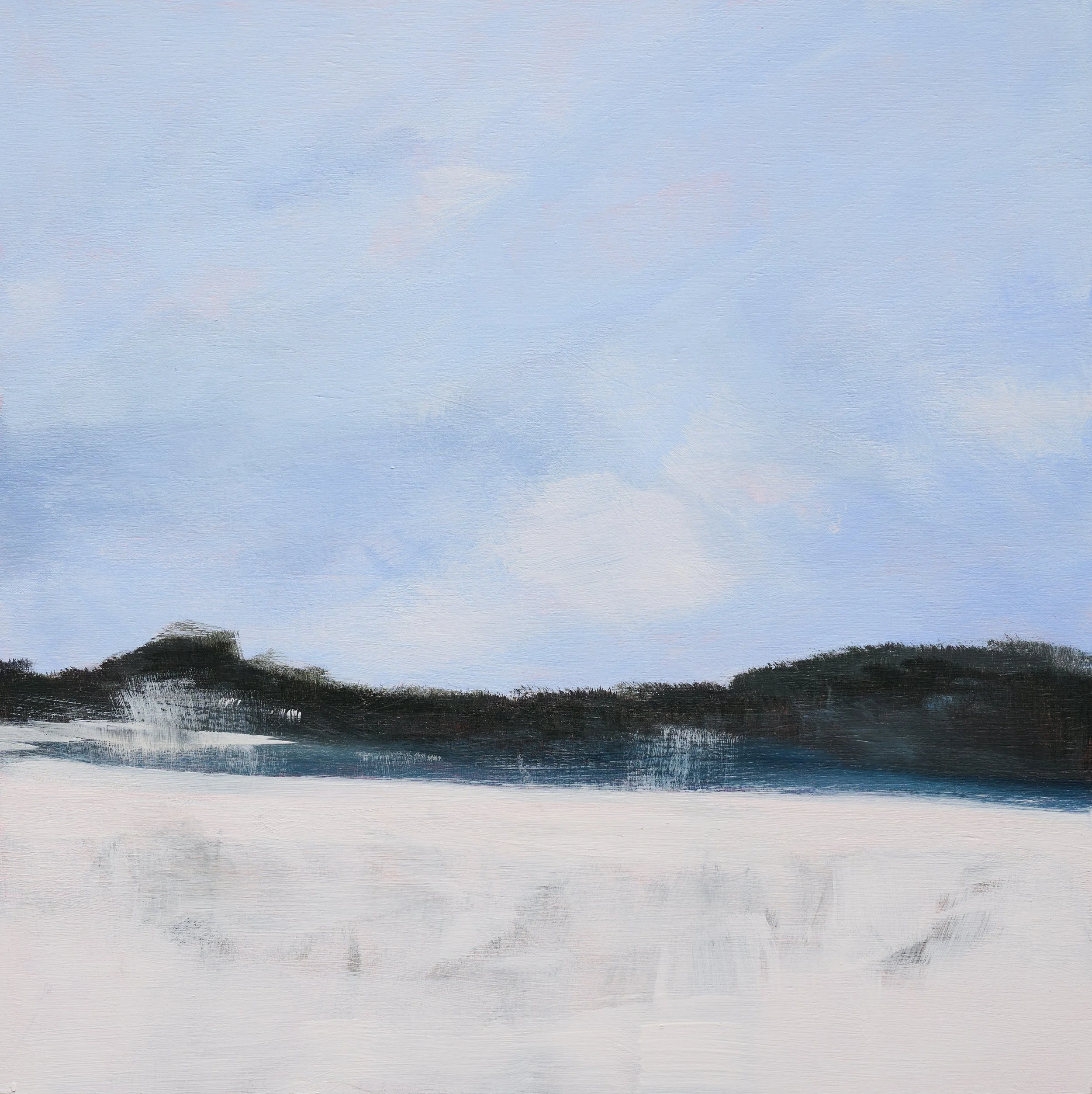AUDUBON IN WINTER #2 | 10" x 10" | ACRYLIC ON CANVAS | $300