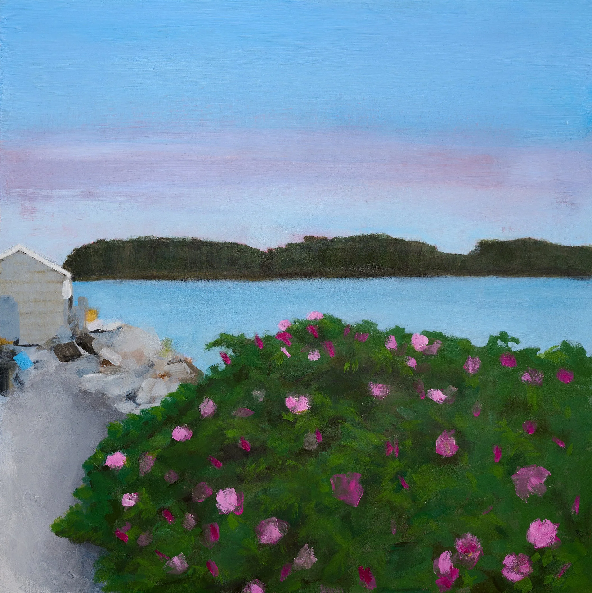 BEACH ROSES (ROSA RUGOSA) | 20" x 20" | ACRYLIC ON BIRCH PANEL| $700