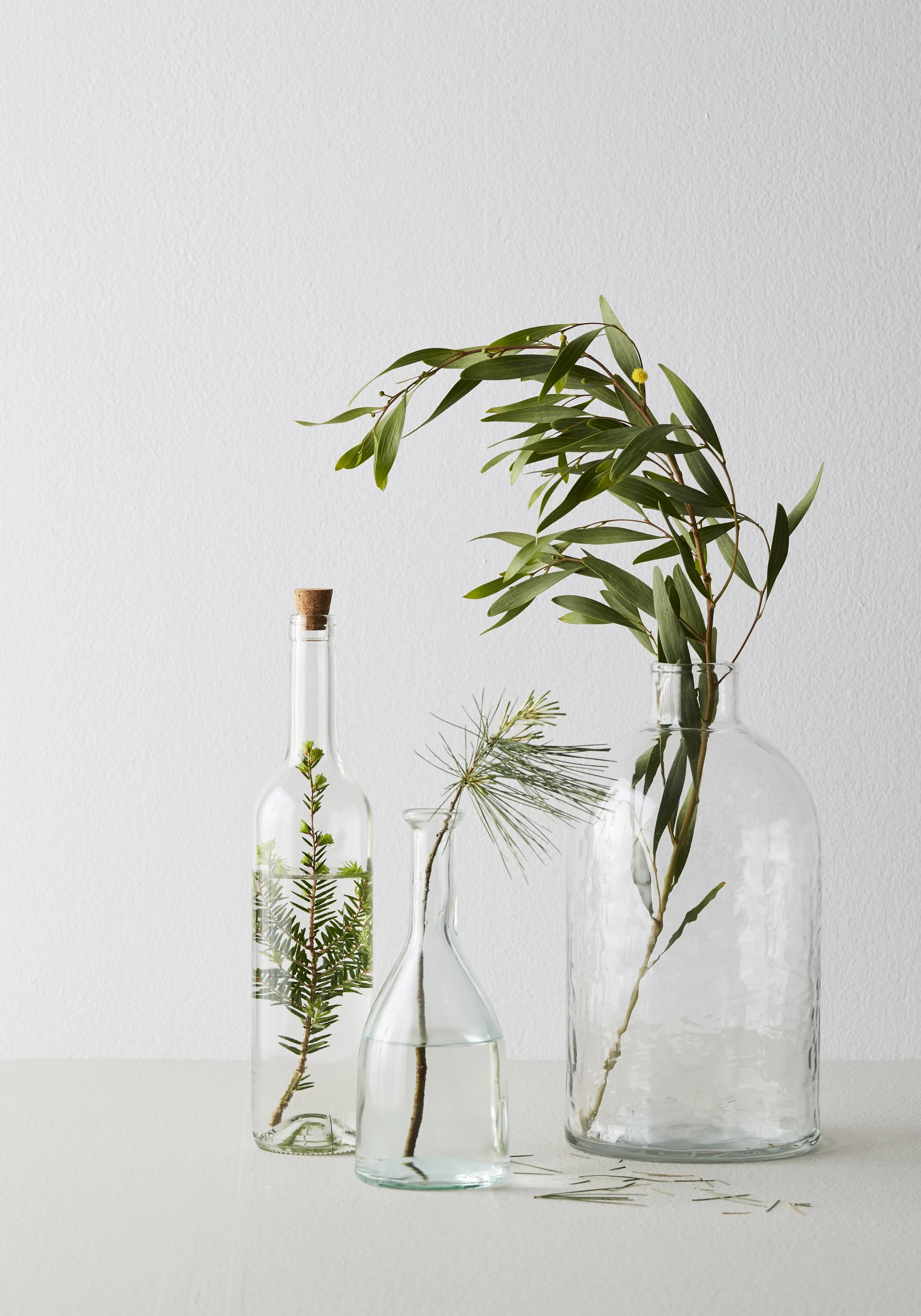 Three clear glass vases with green foliage flowers on a light-colored surface against a white wall.