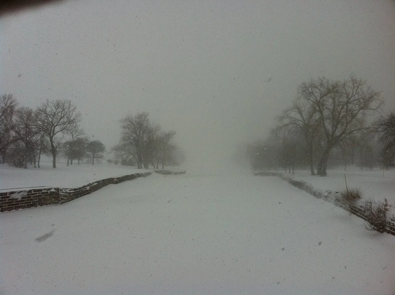 Winter Storm