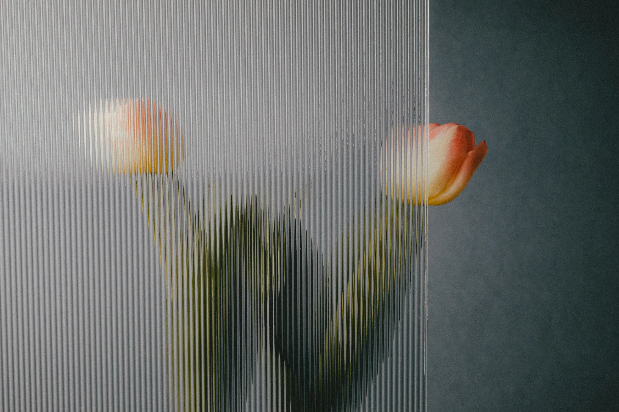 Une photo de fleurs orange et blanche vue à travers une surface en verre texturée verticale.