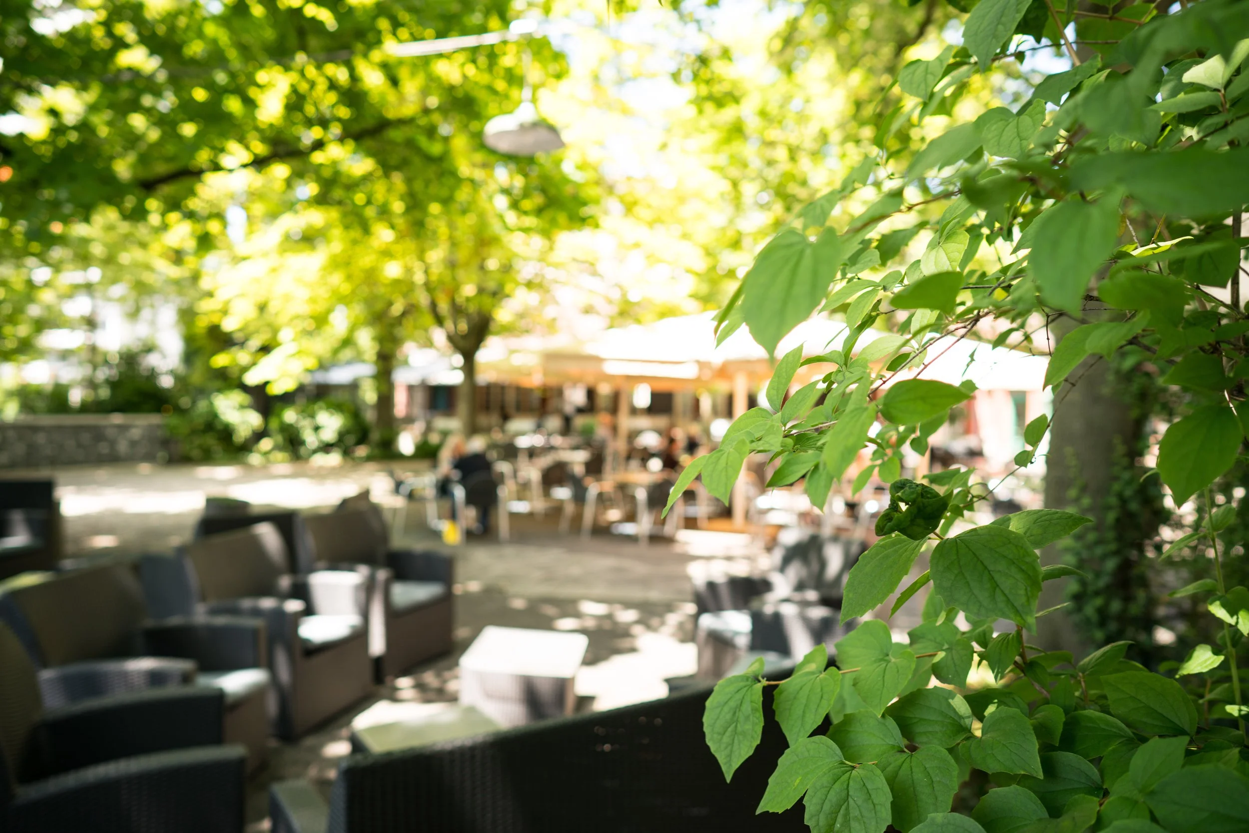 06_Fotos_06.05_Restaurant_aussen_Garten_Schützenhaus Garten1 (2).jpg