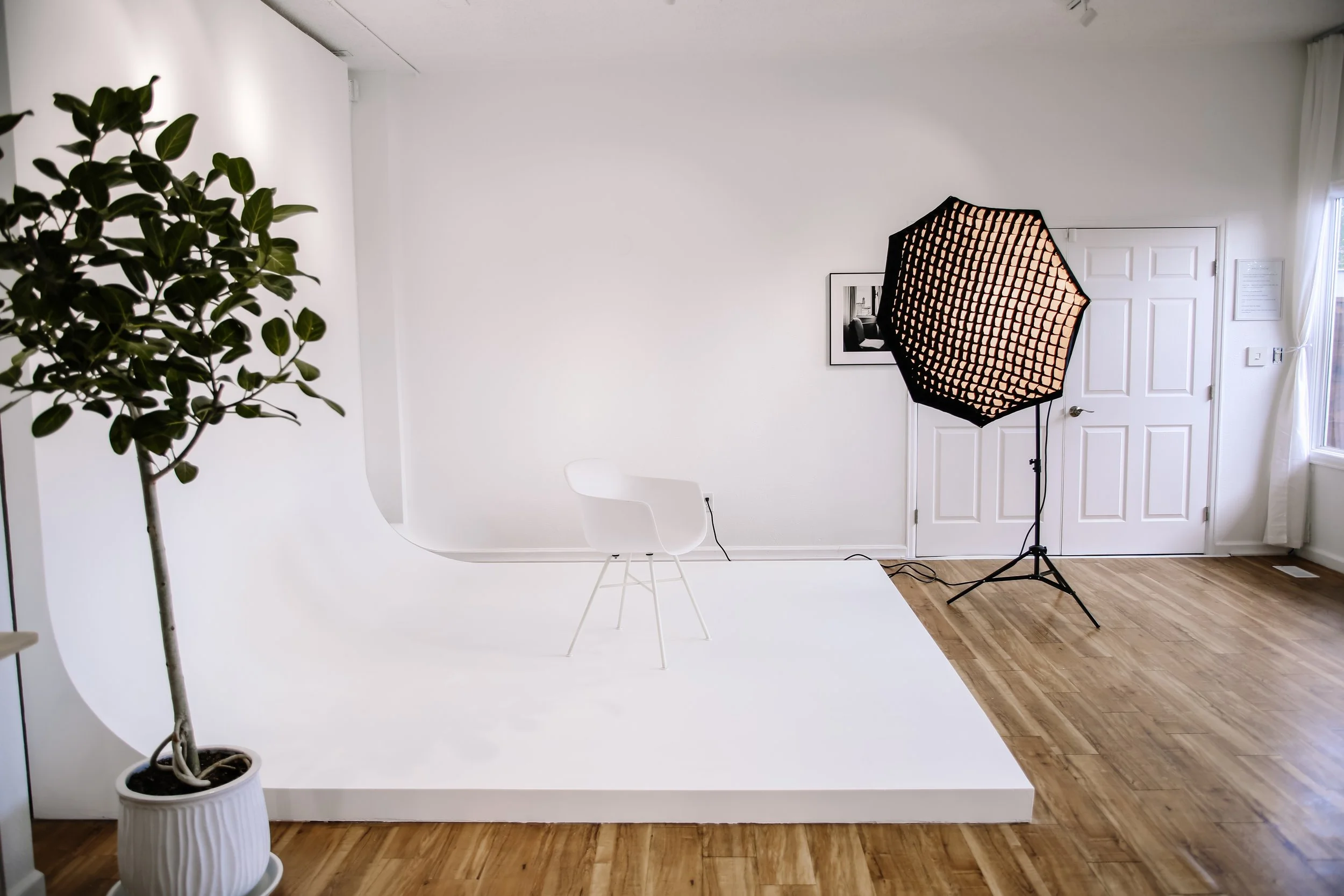 A photography studio setup showing a white backdrop, a professional studio light on a stand, a white chair, a framed picture on the wall, a potted plant on the left, and a partially visible window with curtains on the right.