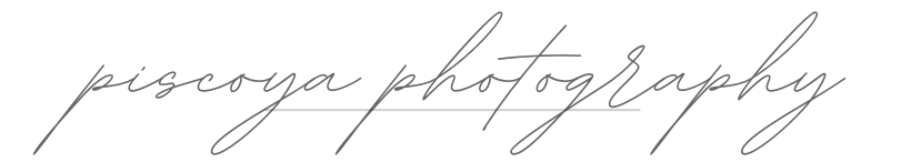 Stylized cursive text reading 'piscoya photography'.