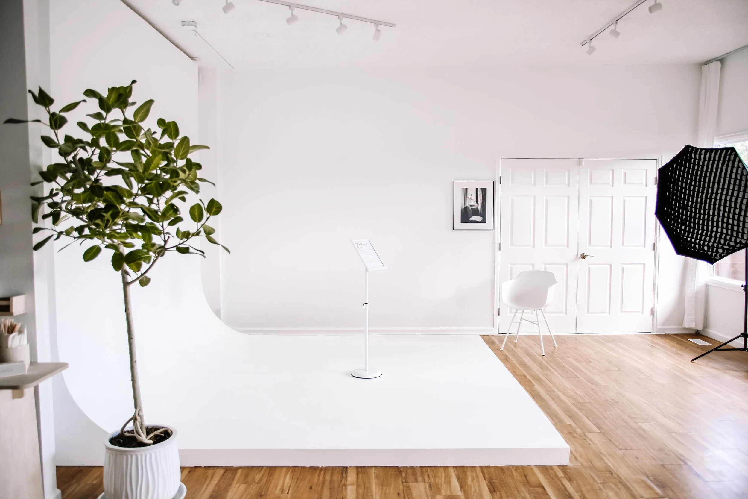 A photography studio with a white seamless backdrop, a large potted plant on a stand, a white chair, a framed black-and-white photo on the wall, and studio lighting equipment.