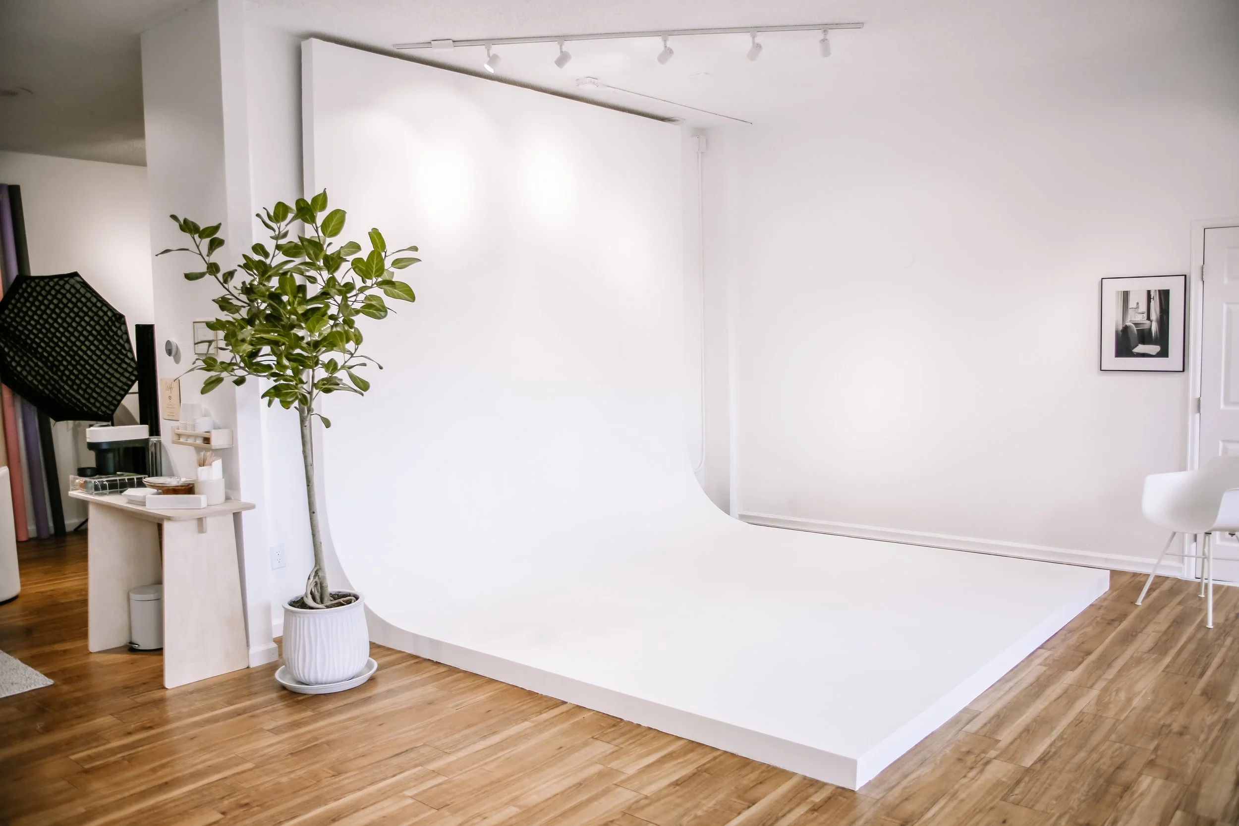 A white photo backdrop in a room with wood floors, a potted plant, framed black and white photo, stack of camera equipment, a chair, and a white curved wall.