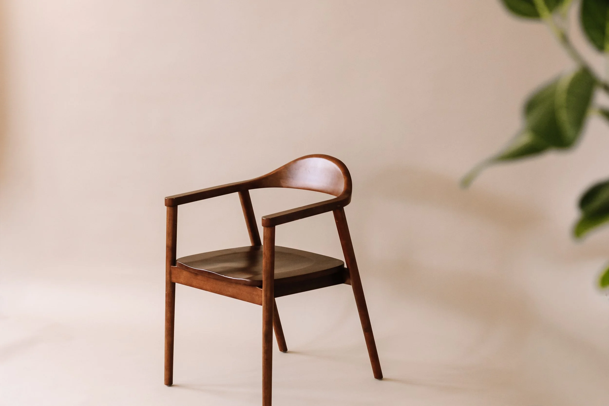 A wooden chair with a curved backrest and armrests, set against a plain light-colored wall with some green foliage in the foreground.