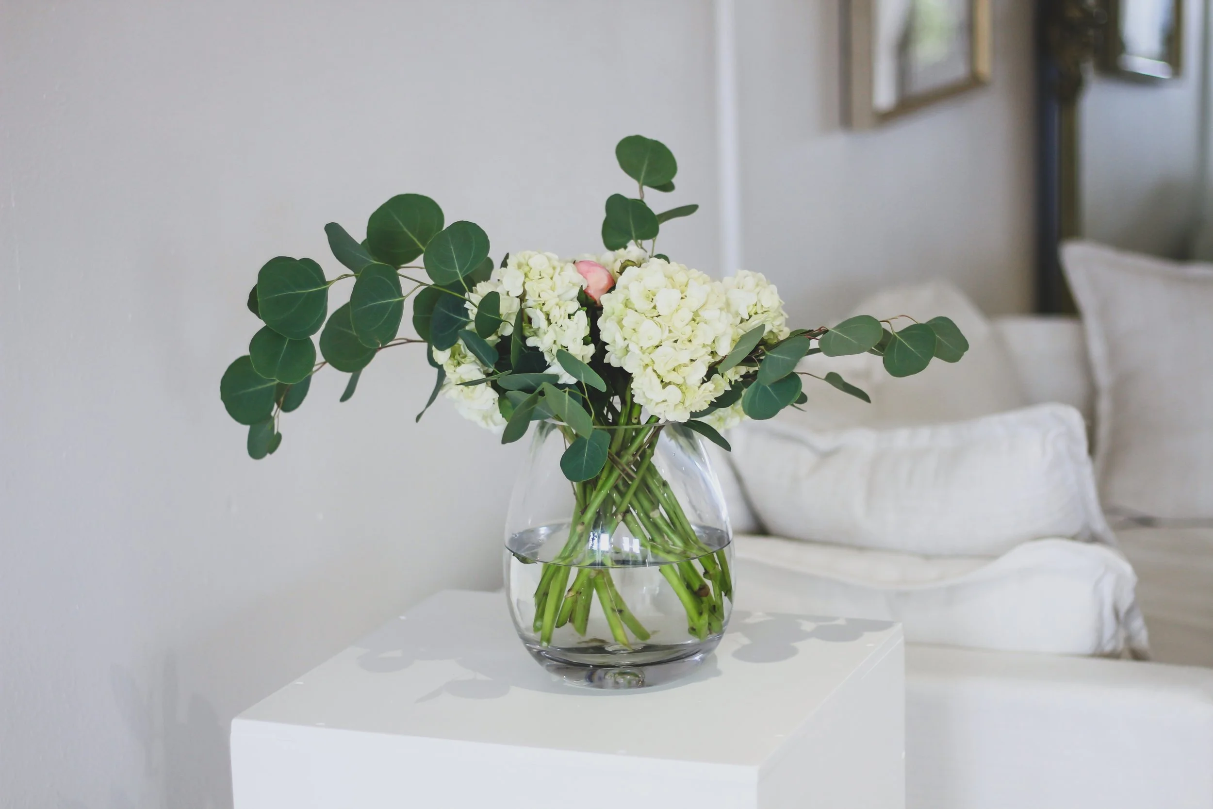A clear glass vase with water holding white hydrangeas and green eucalyptus leaves, placed on a white surface in a softly lit room with light-colored walls and framed pictures in the background.