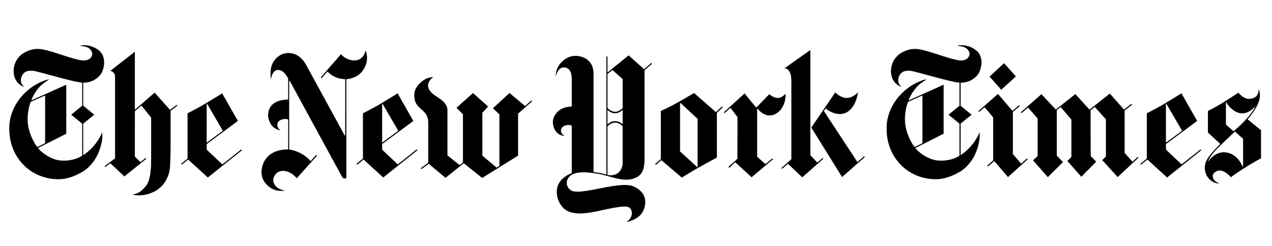 The logo of The New York Times in black Gothic font.
