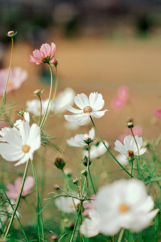 Optimizing your time for wellbeing