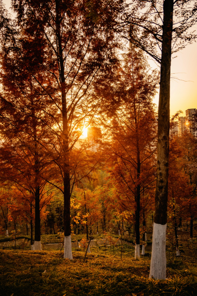 Restore and Release Sunday September