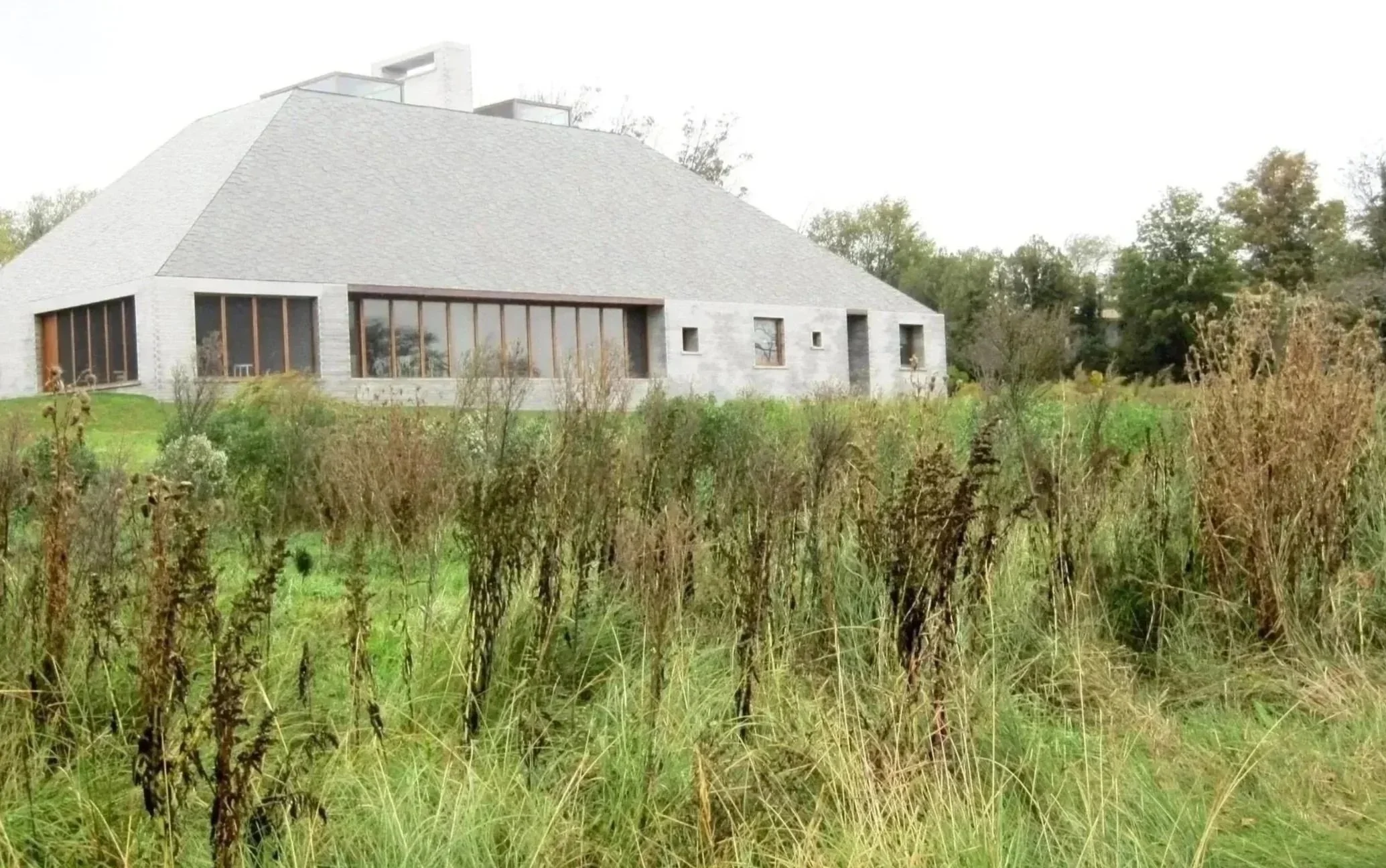 Wild native meadow at private modern residence, coastal Long Island.