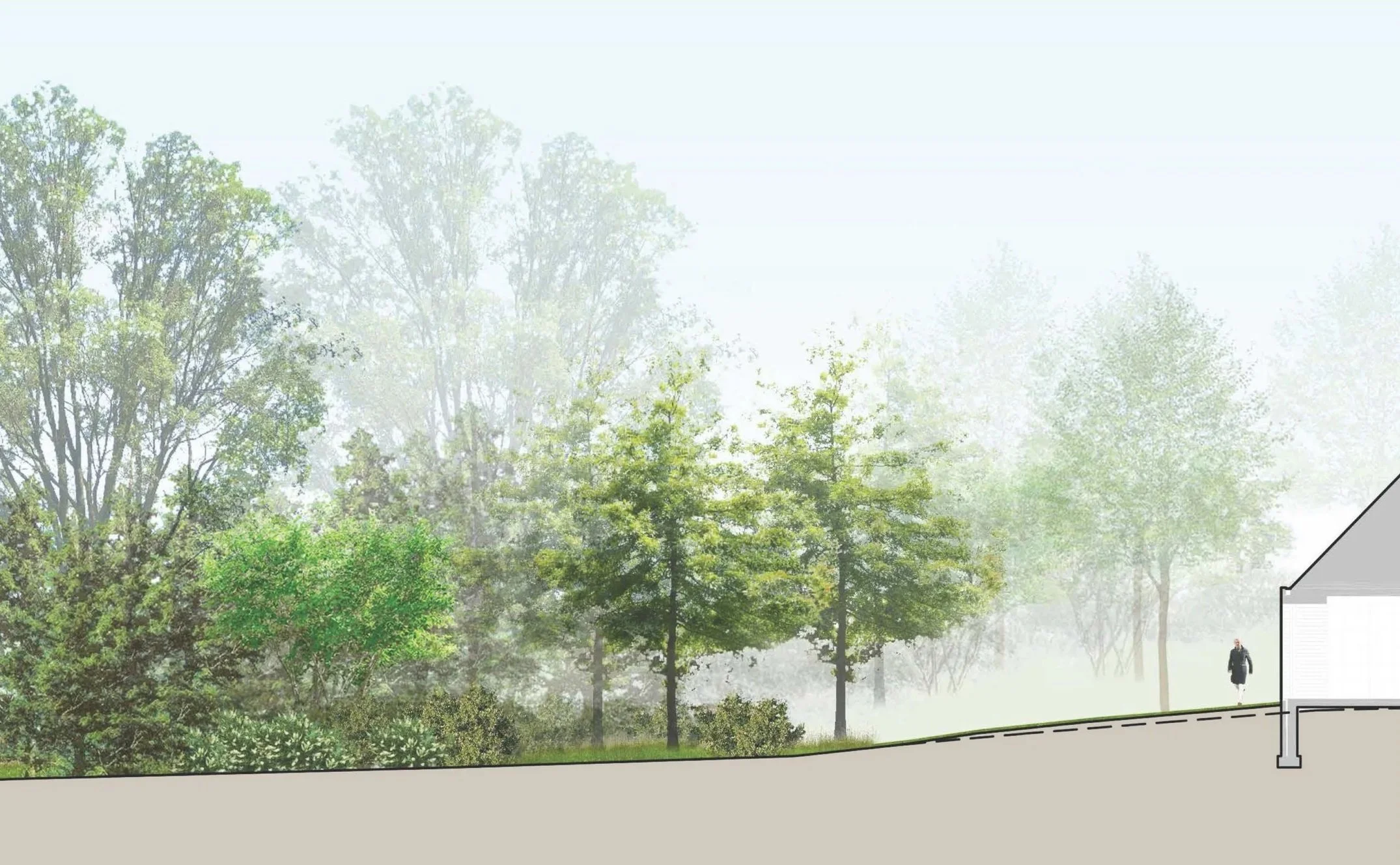Rendered section showing native buffer planting at private residential landscape, coastal Long Island.
