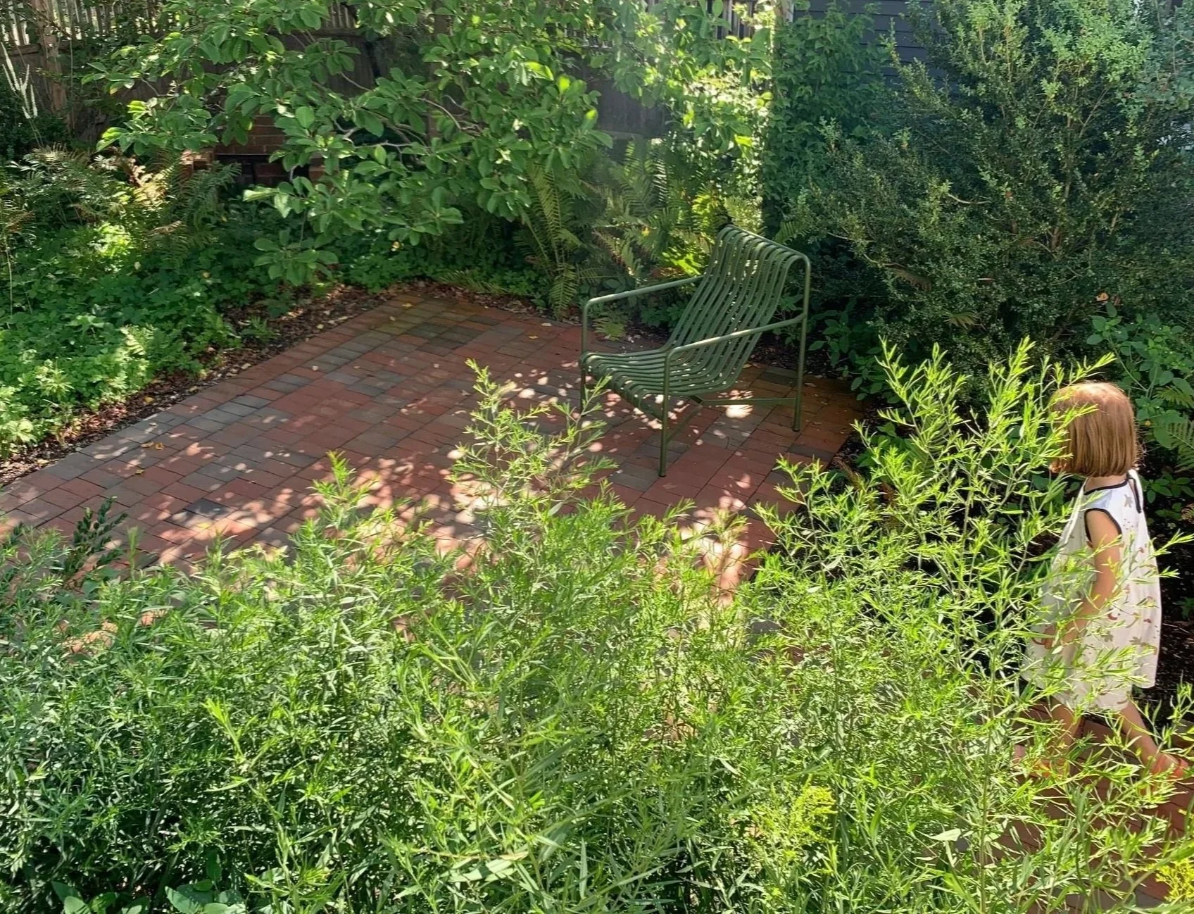 Urban residential garden in Portland, Maine with lush native plantings.