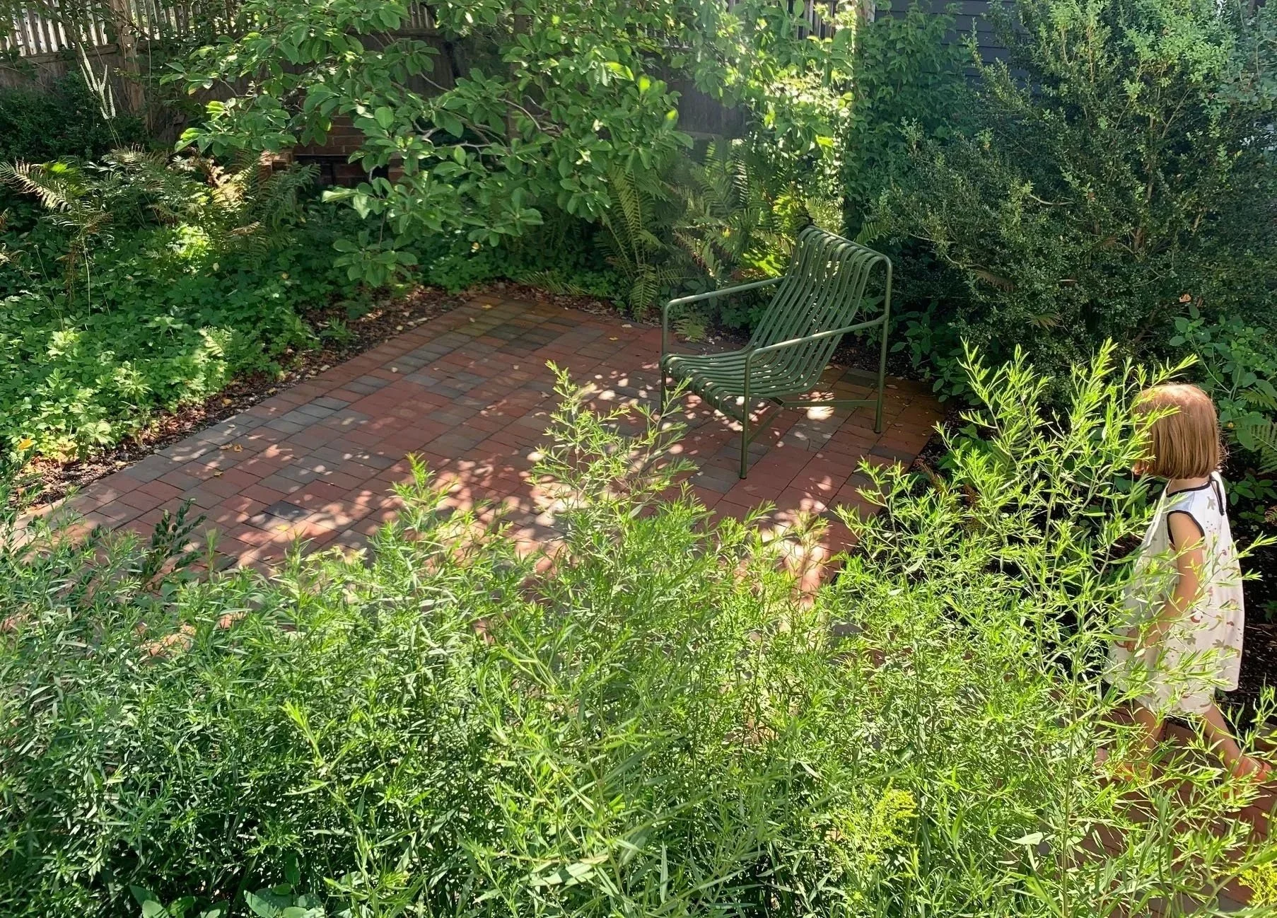 Urban residential garden in Portland, Maine with lush native plantings.