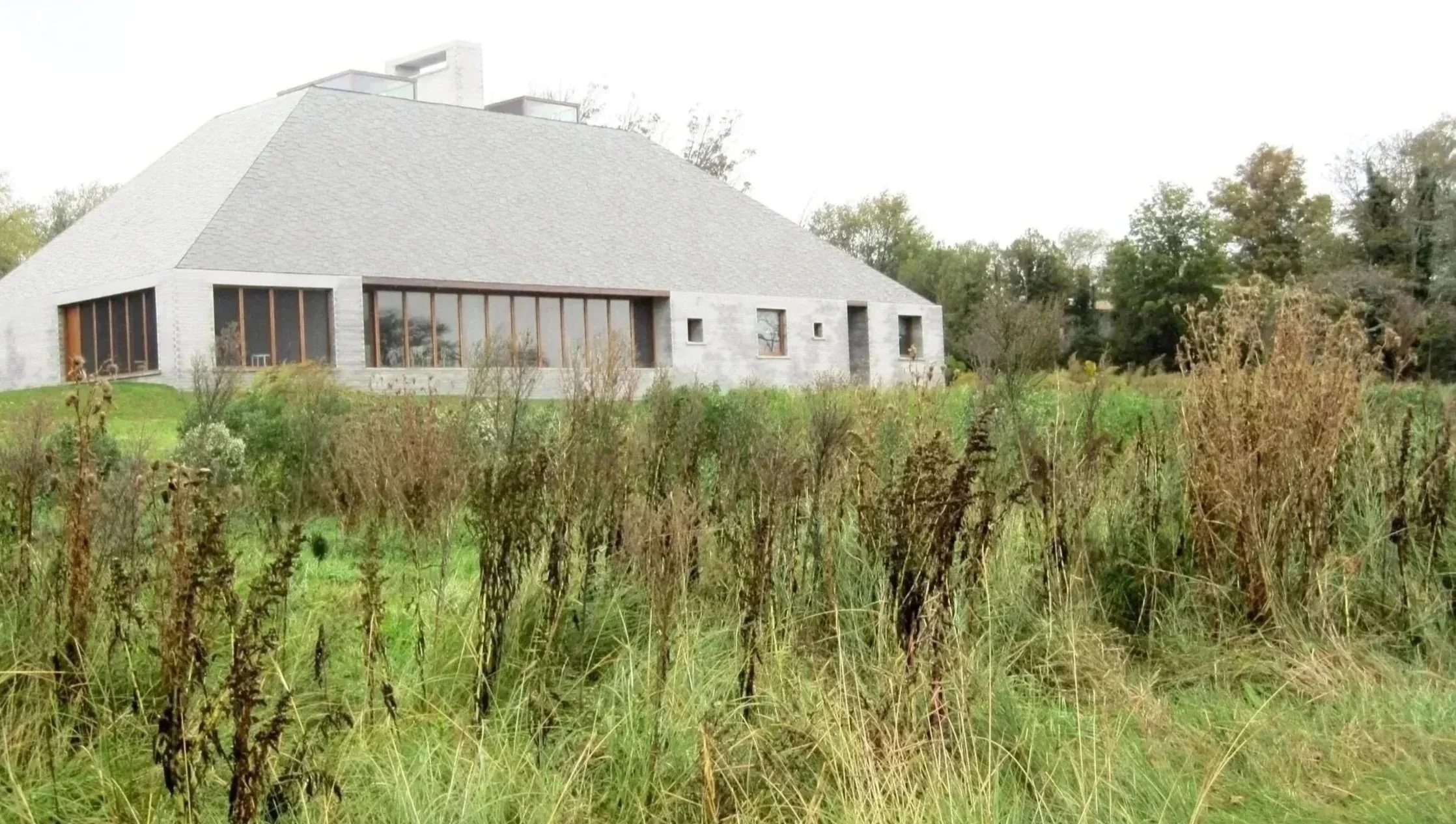 Wild native meadow at private modern residence, coastal Long Island.