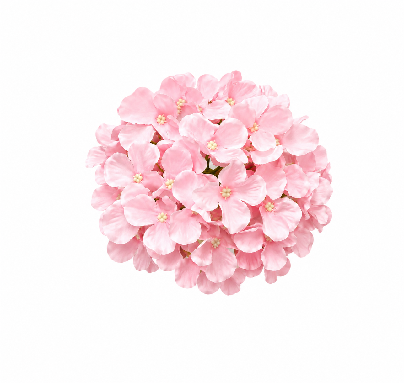 ChatGPT Image Jul 16, 2026, 10_09_51 PM.png