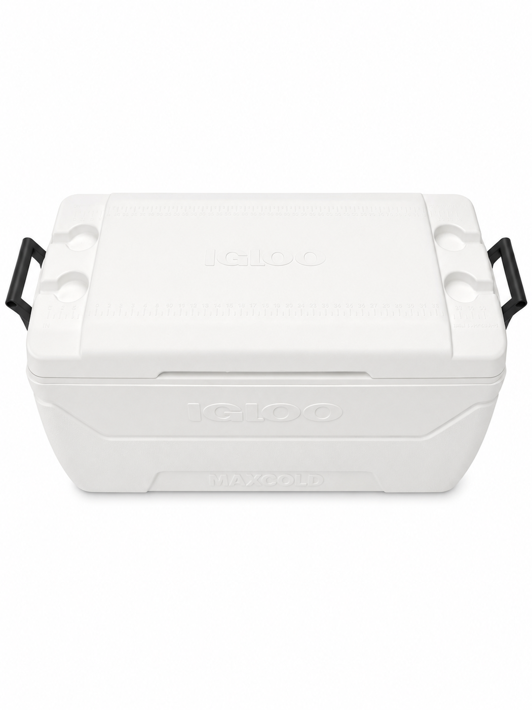 Igloo cooler with embossed details.png