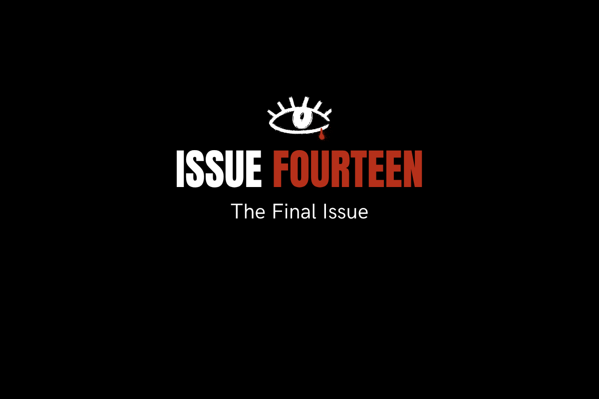 Issue 14. The final issue 