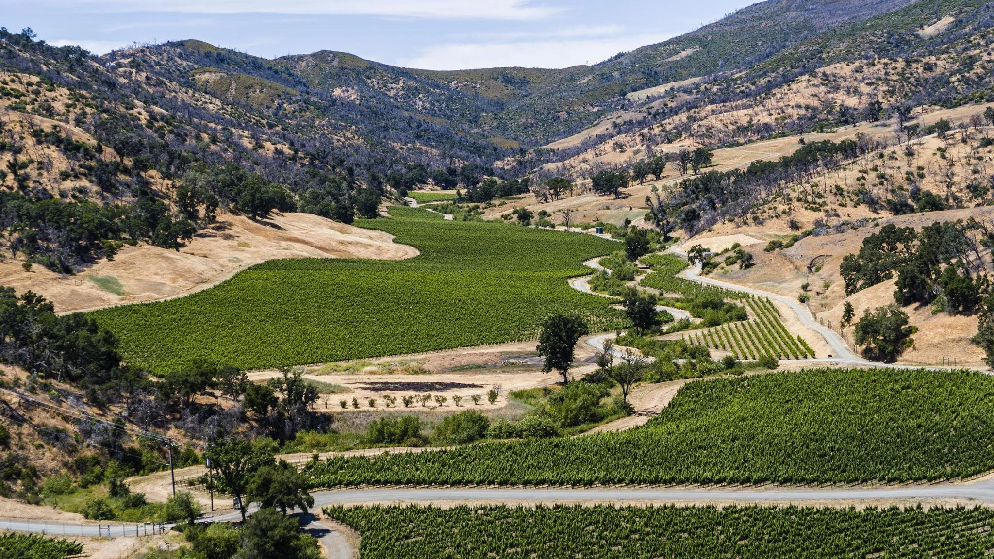 Custom home build site with vineyards and views in Napa County