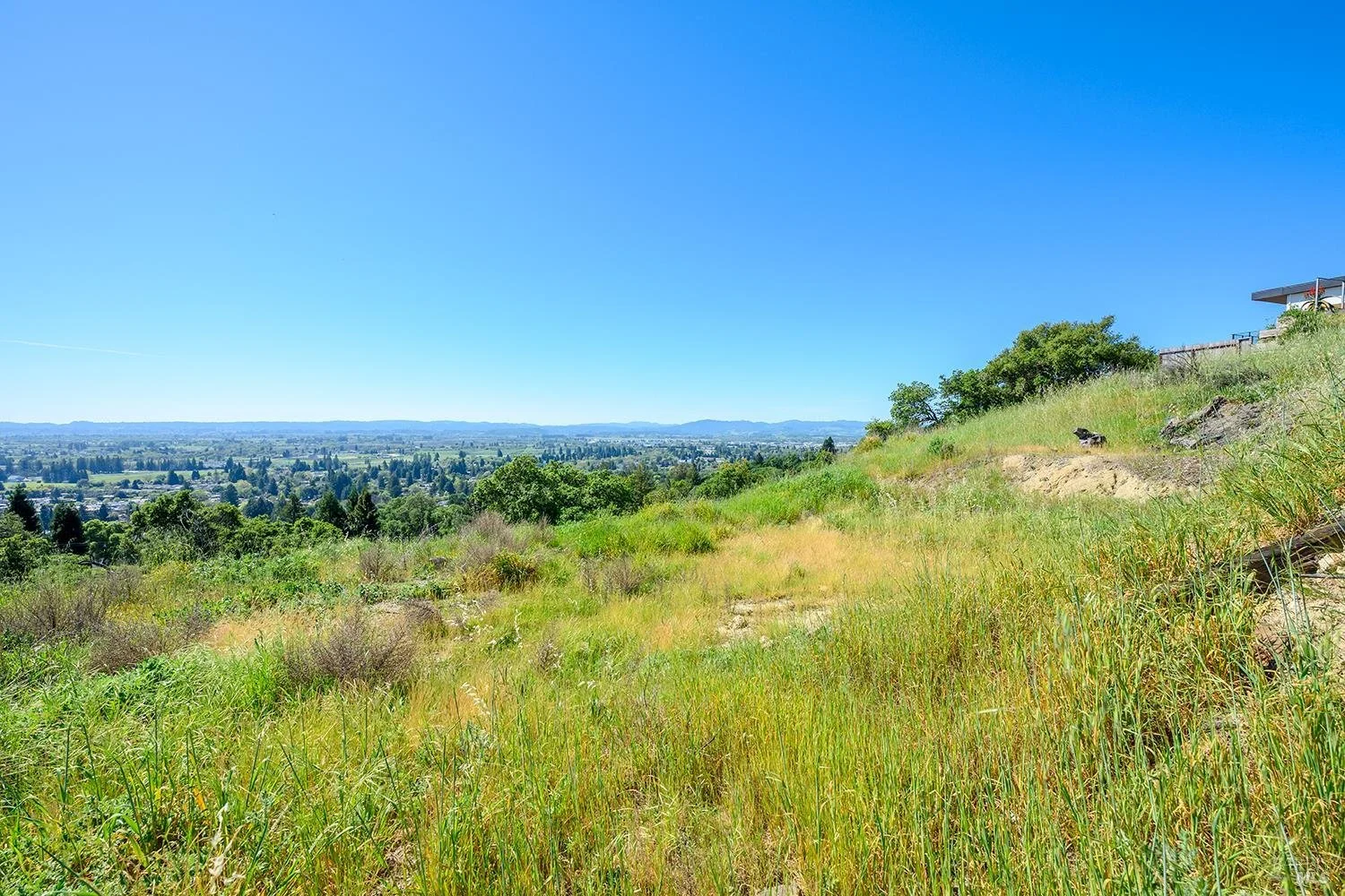 A hillside property with views of Santa Rosa ready for high end custom home