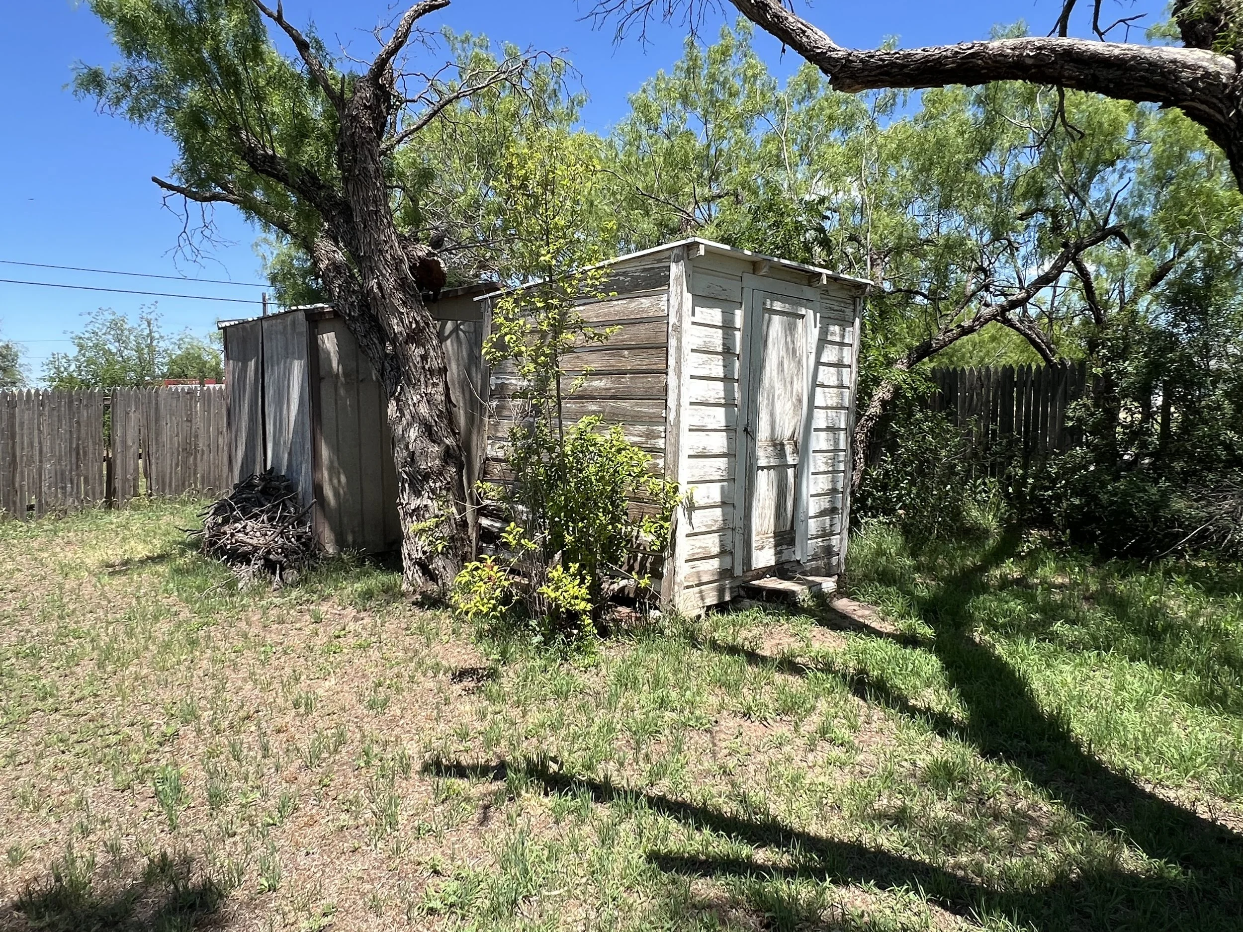 An old wooden shed with a white door, surrounded by trees and grass, in a backyard with a wooden fence and a clear blue sky.