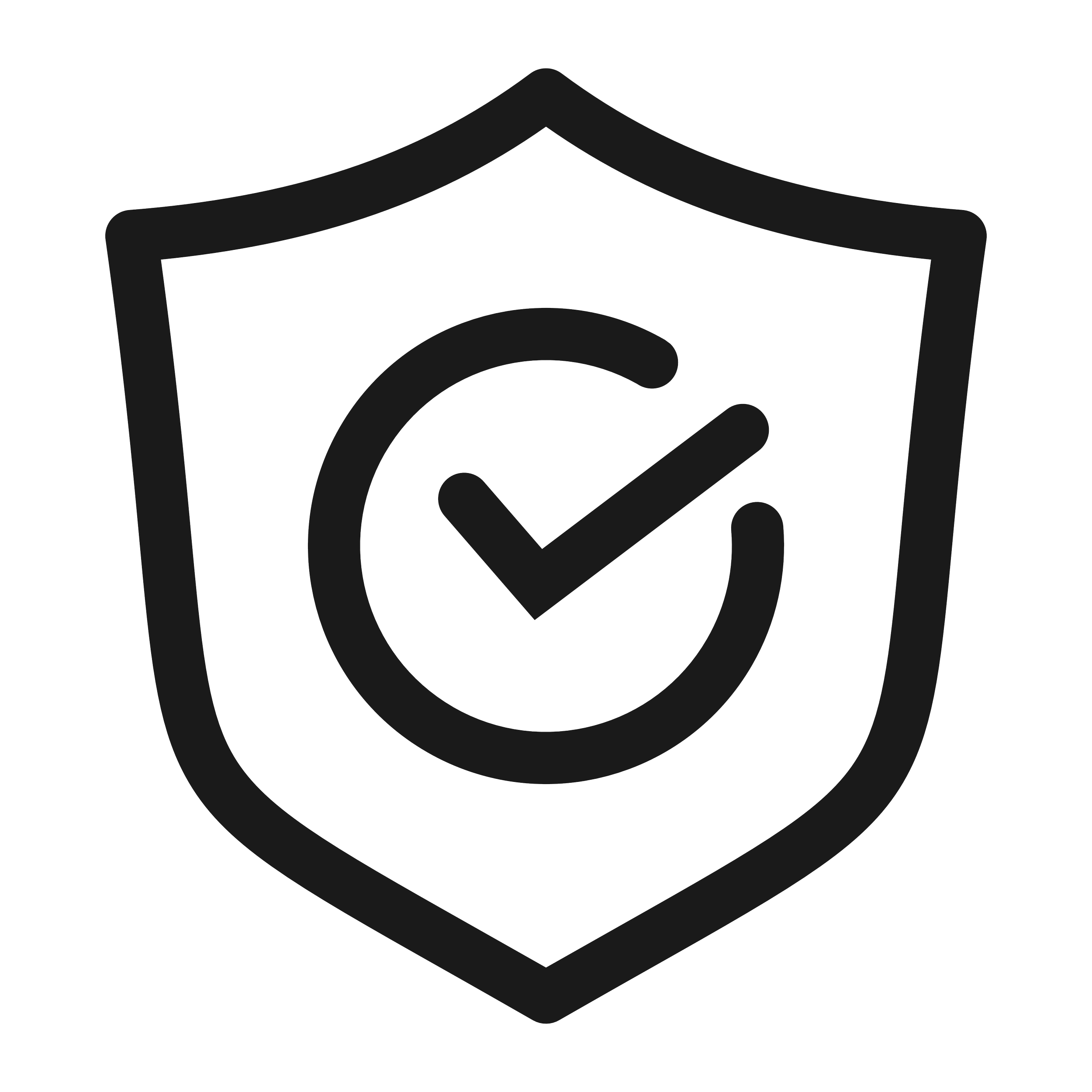 Shield icon with a checkmark in the center, representing security or approval.