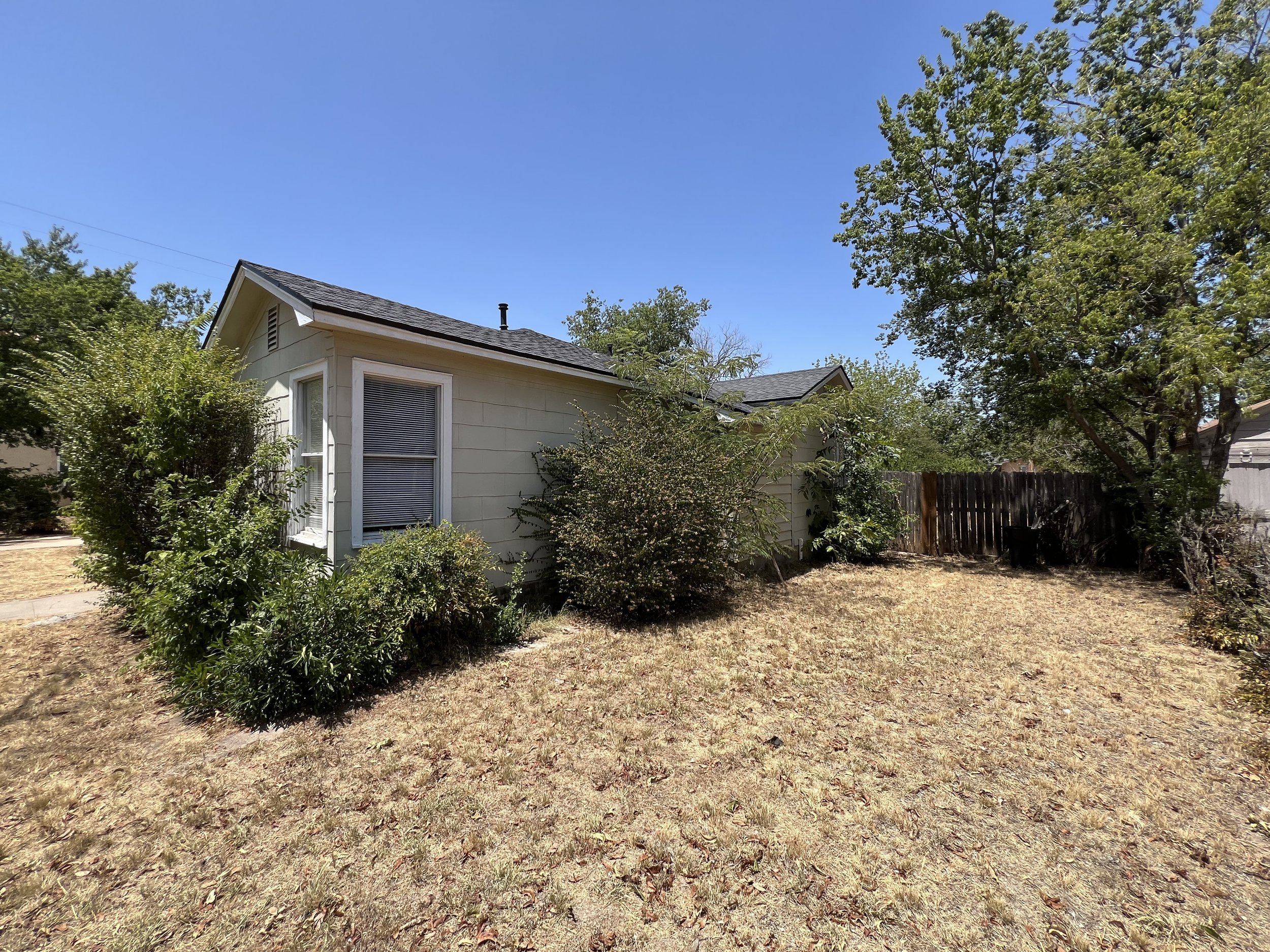 Backyard with dry grass, shrubs near house, large tree, wooden fence, and a single-story house under a clear blue sky.