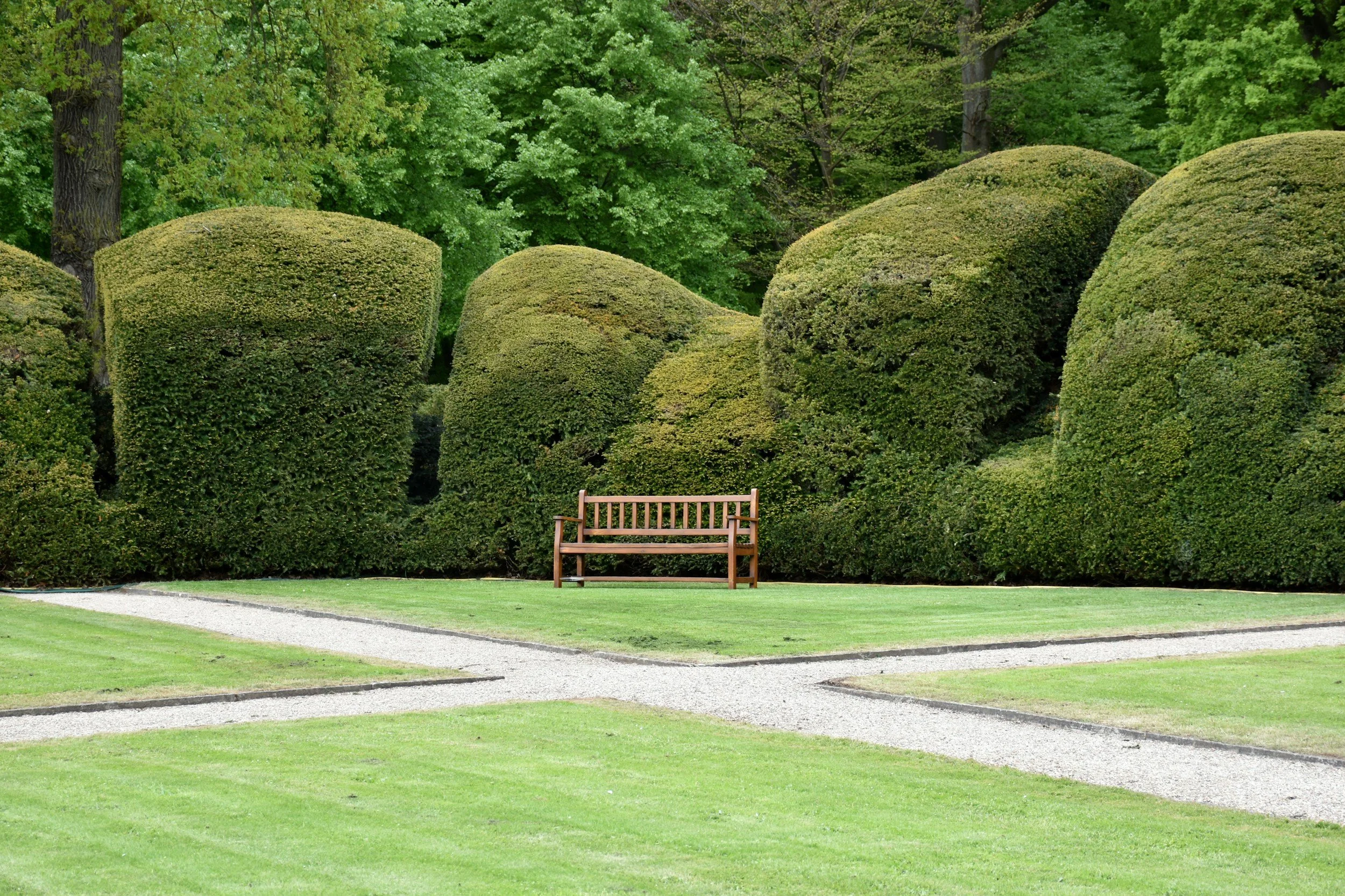 Garten mit grün gemähtem Rasen, Gehwegen und einer Bank, umgeben von großen, runden, grünen Büschen und Bäumen im Hintergrund.