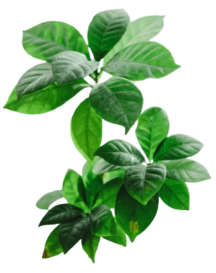 Gartengestaltung